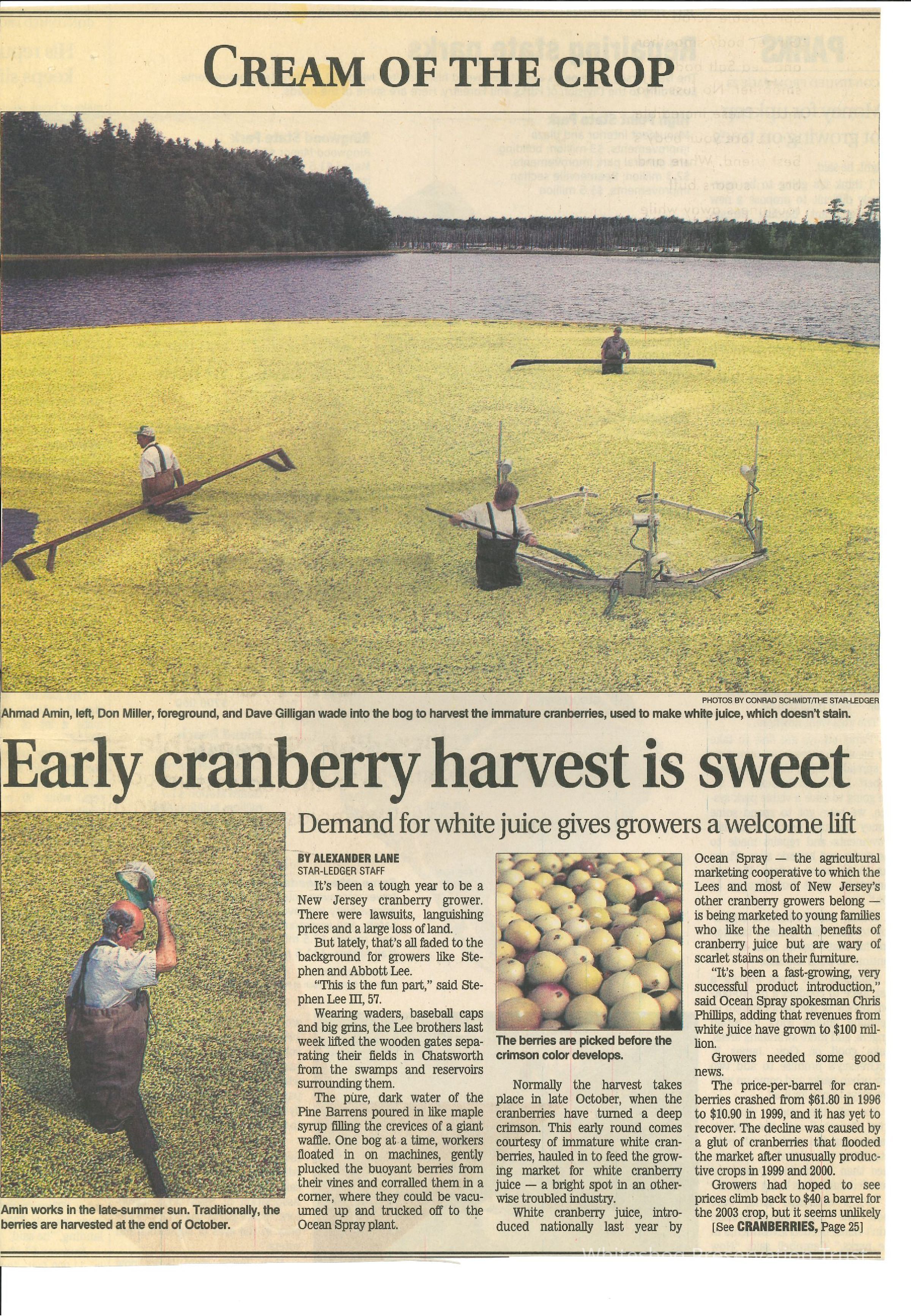 The Sunday Star-Ledger picture number 1