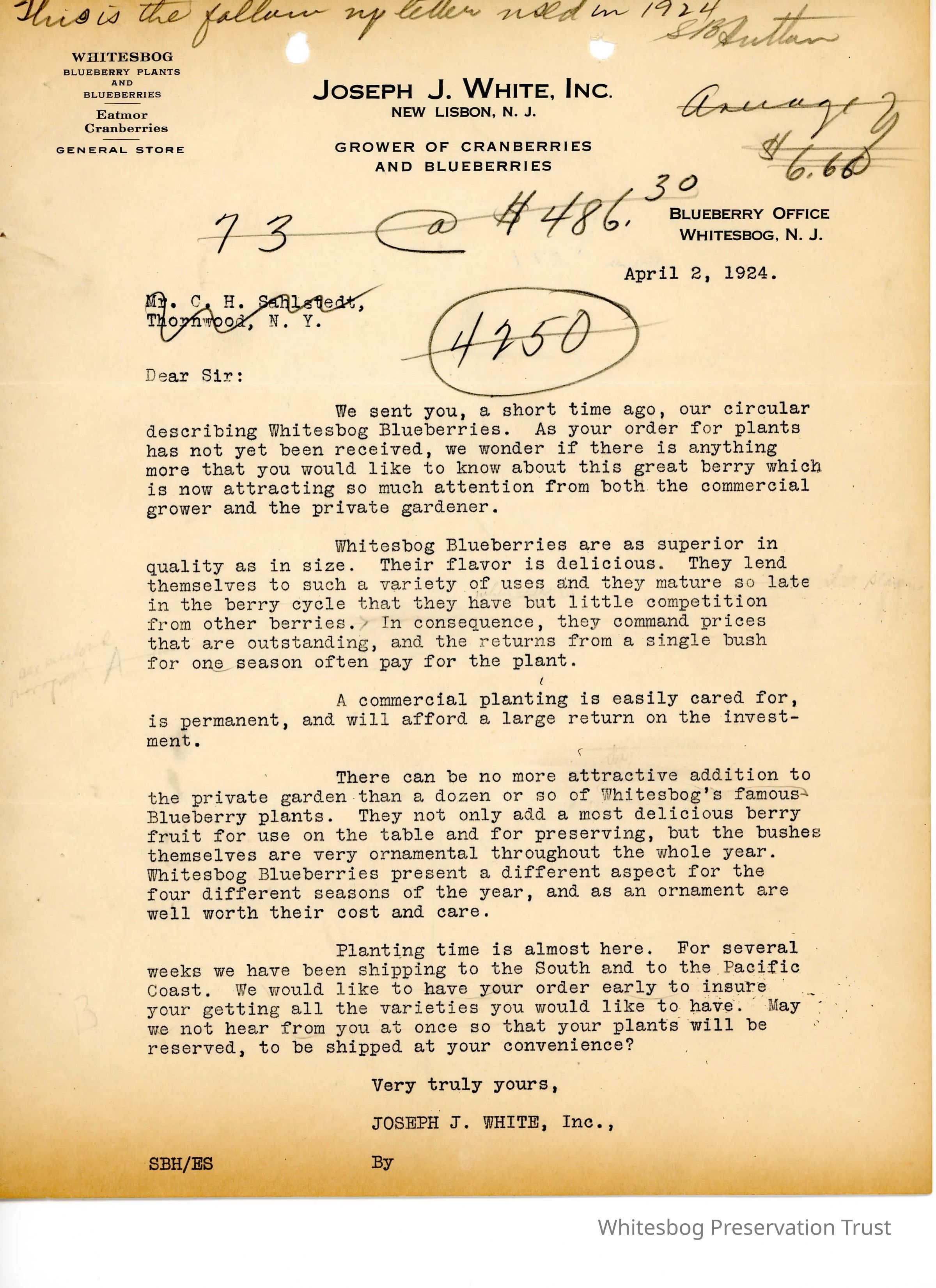 Follow Up Letters for Blueberry Plant Sales picture number 1