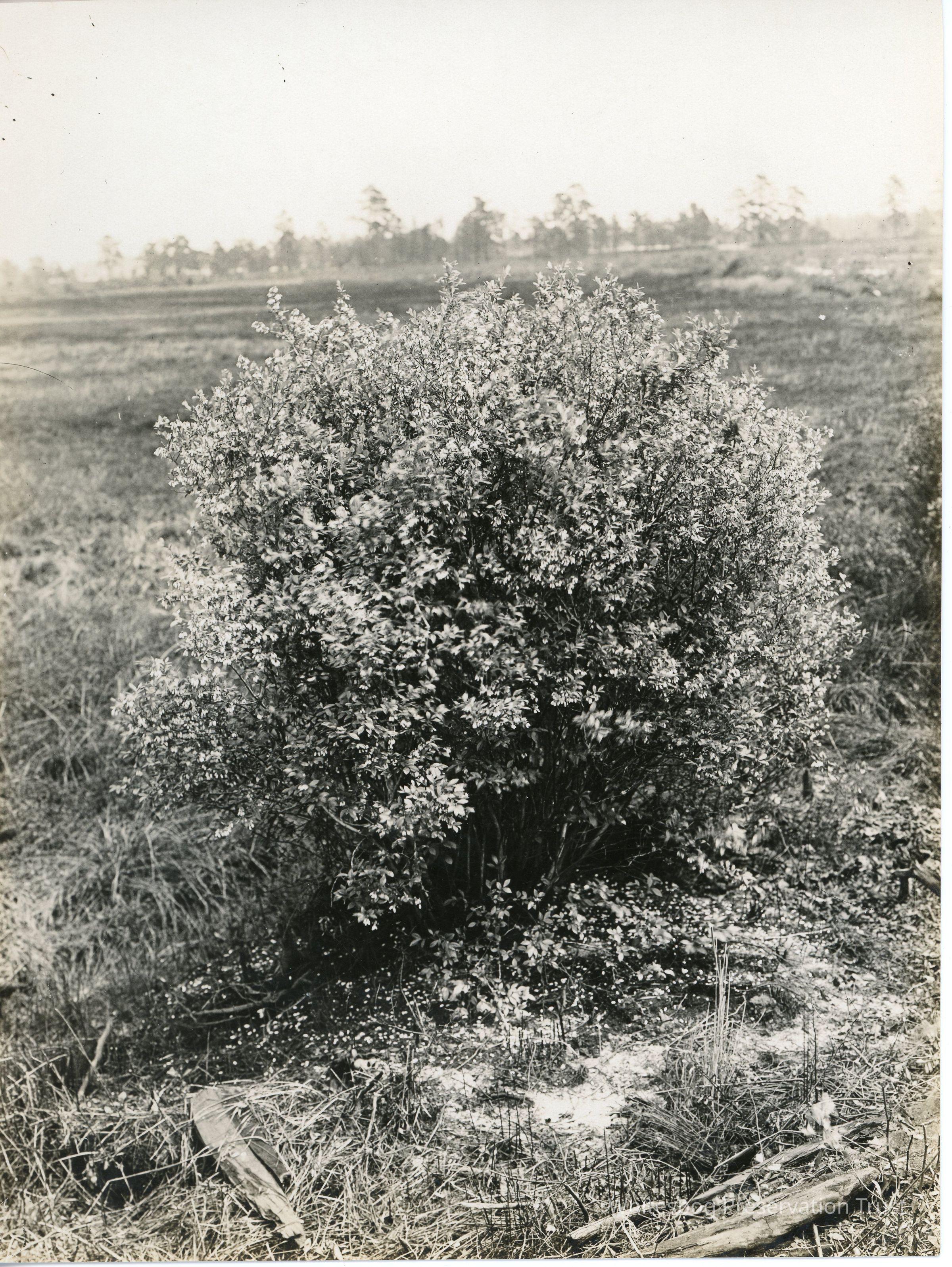          5/13/1915 