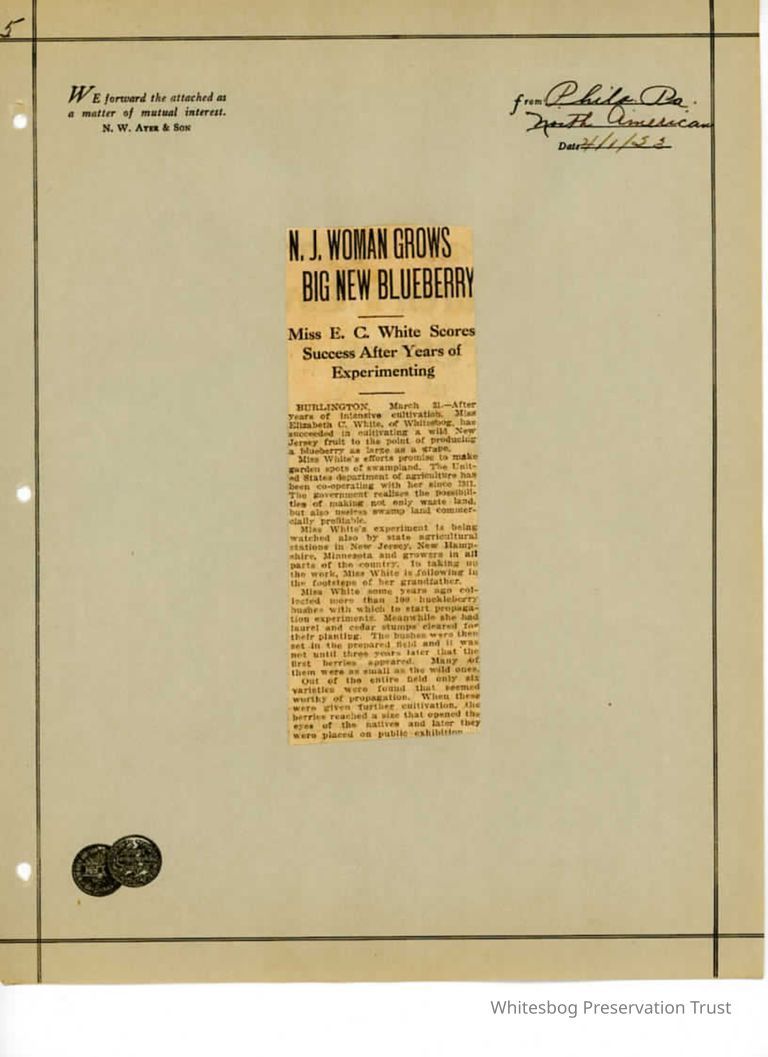         Newspaper Clipping picture number 1
   