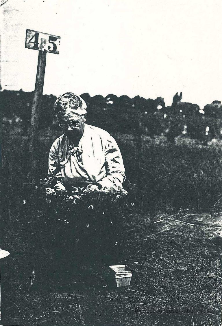          Elizabeth White in Field
   