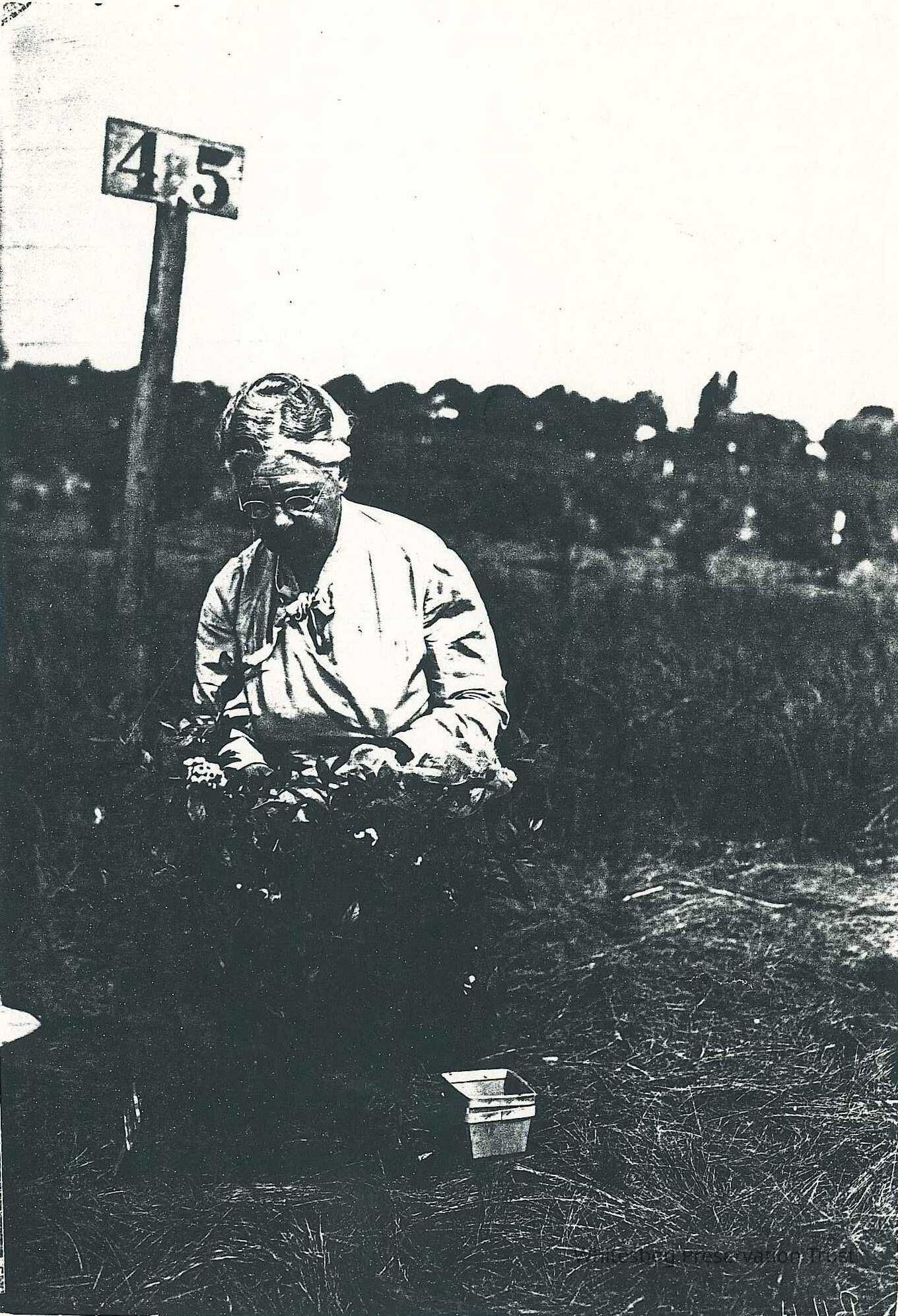 Elizabeth White in Field