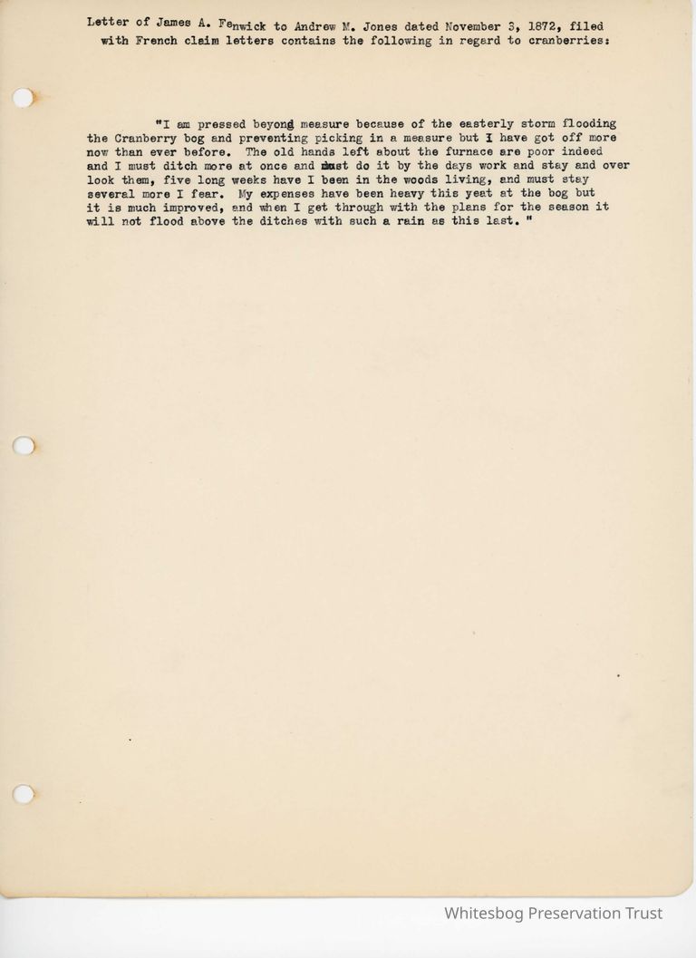          James Fenwick to Andrew Jones - November 3, 1872 picture number 1
   