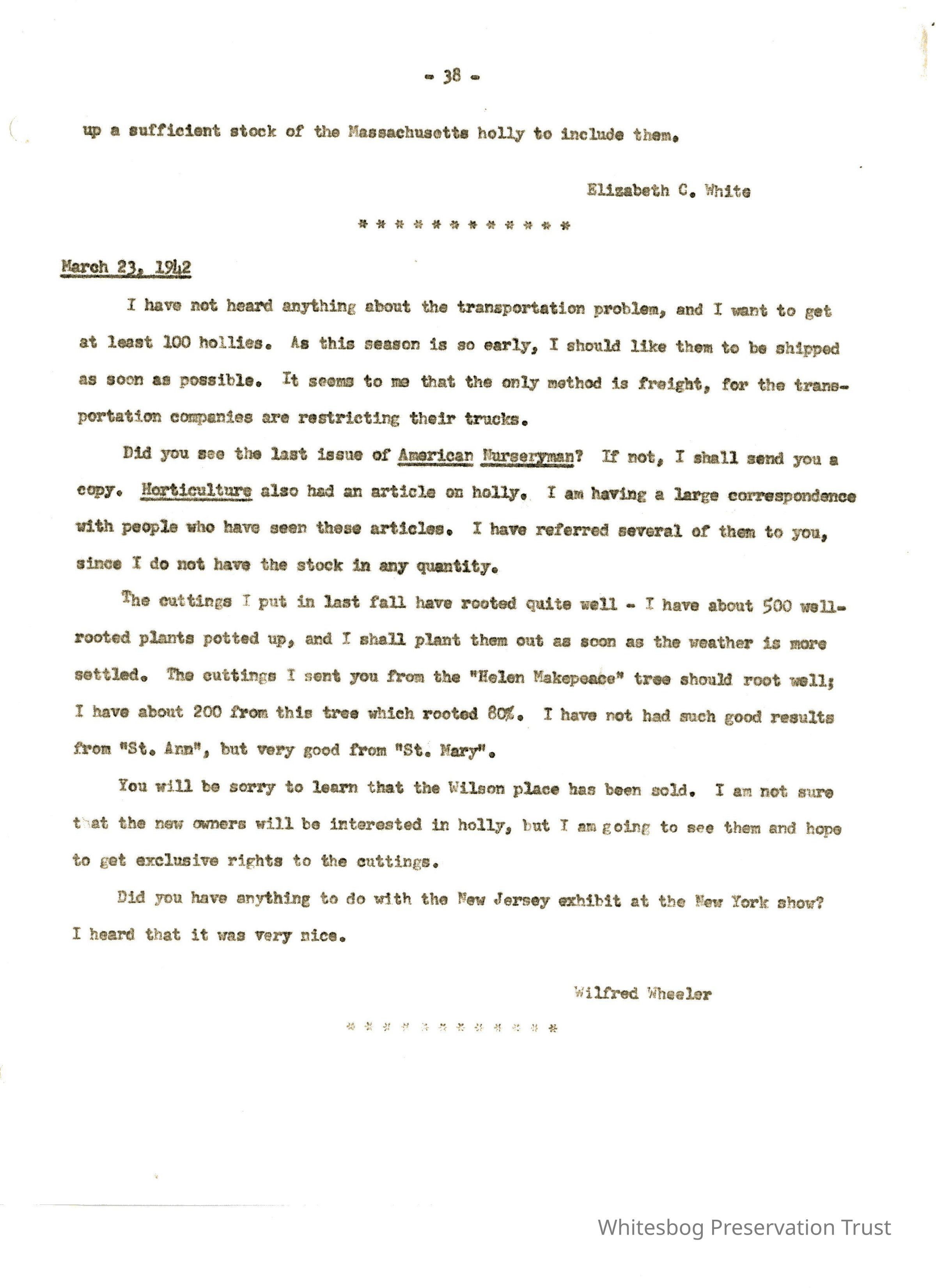 Letters Between Elizabeth White and Wilfrid Wheeler picture number 1