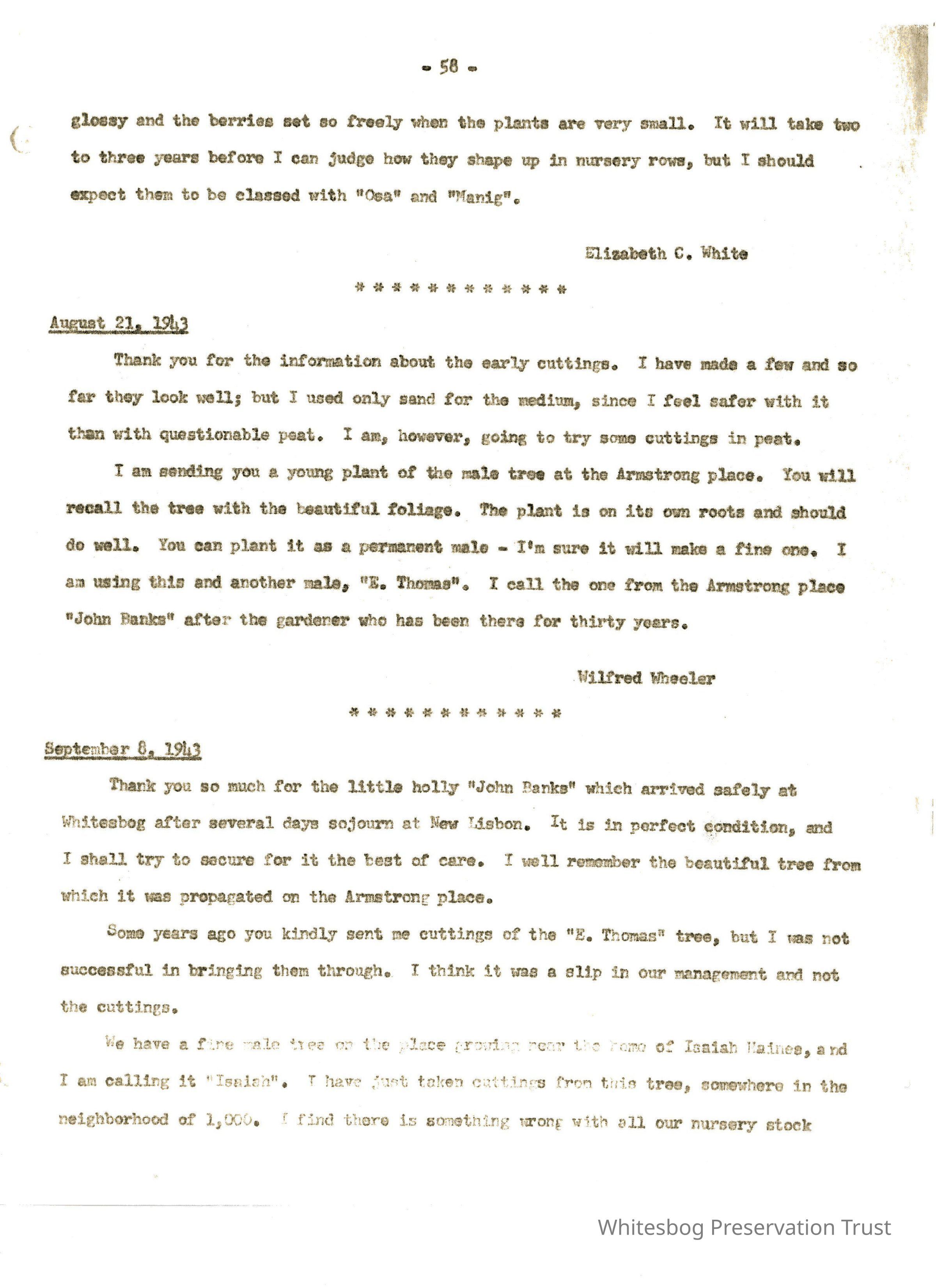 Letters Between White and Wheeler picture number 1