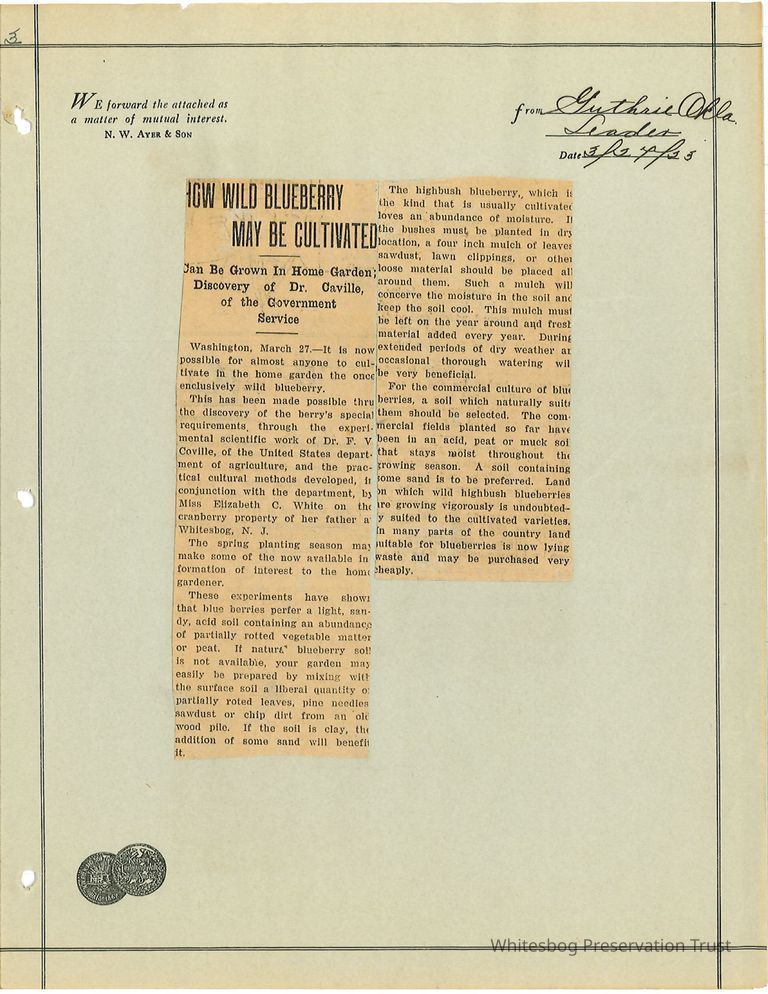          Newspaper Clipping picture number 1
   