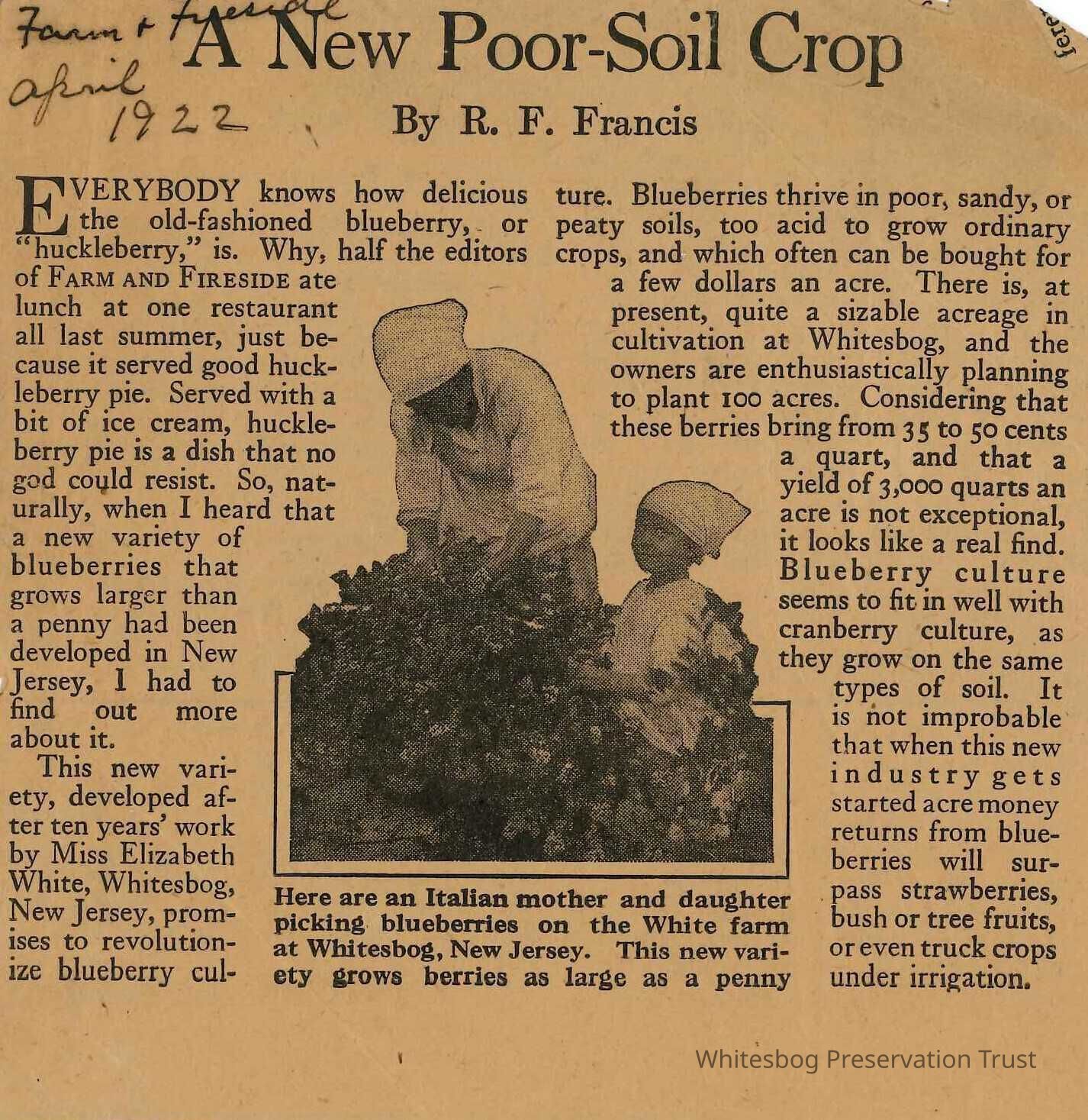 New Poor Soil Crop