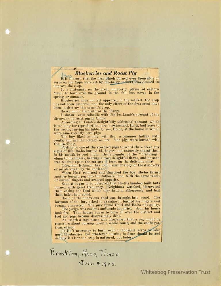          Newspaper Clippings picture number 1
   