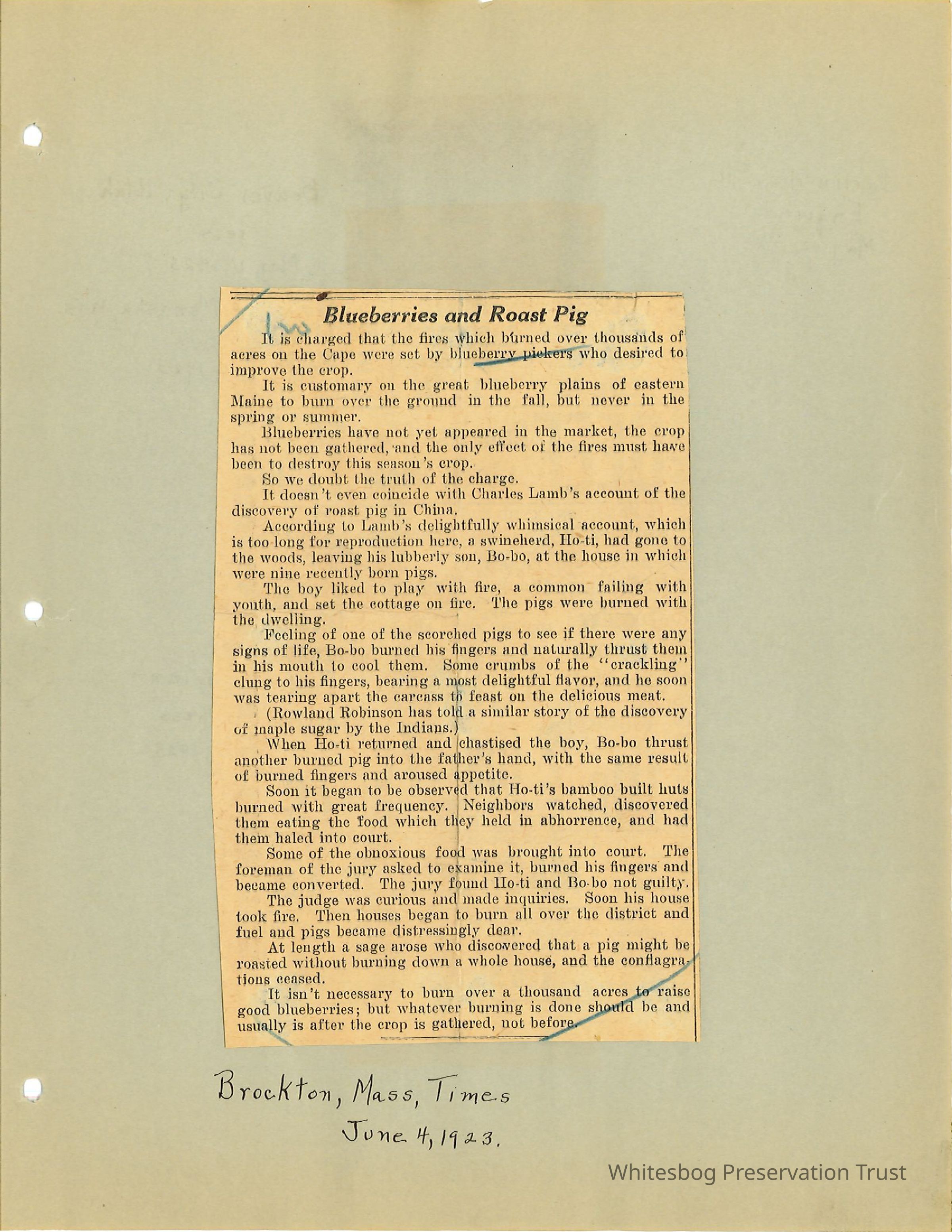         Newspaper Clippings picture number 1
   