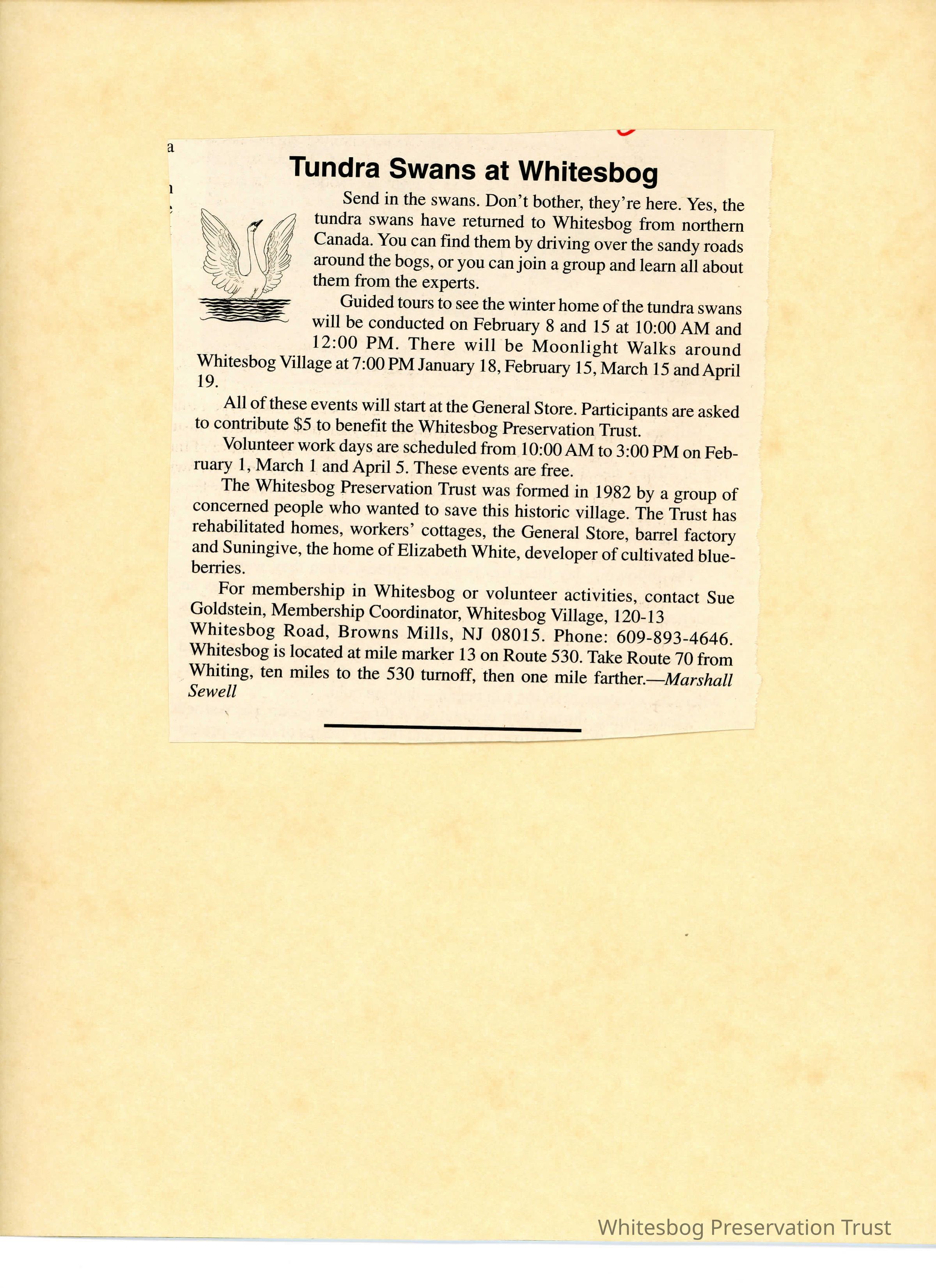Newspaper Name Unknown picture number 1