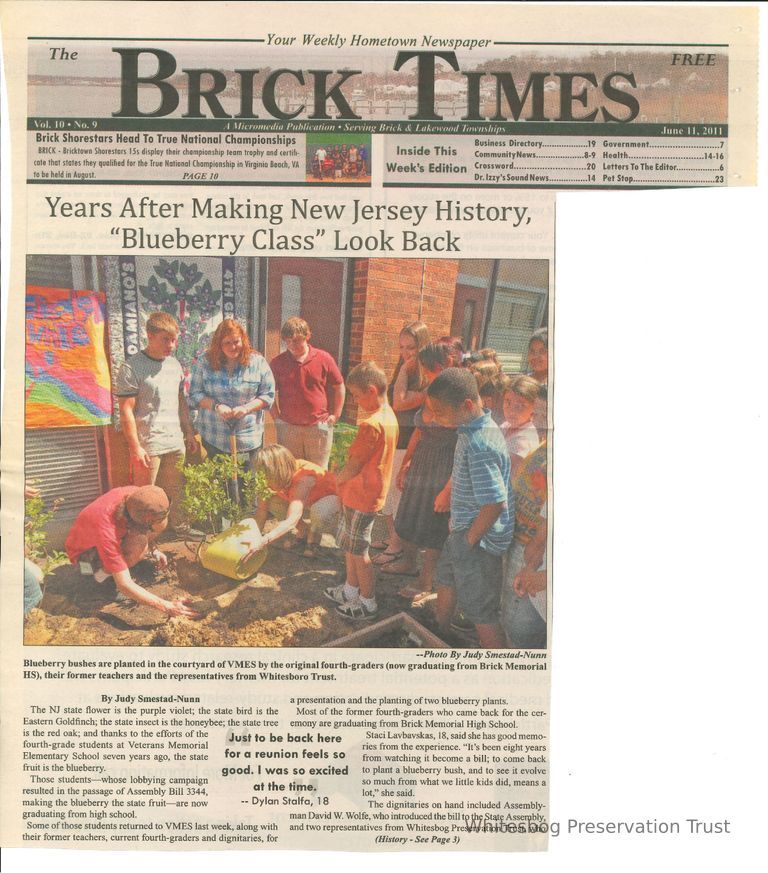          The Brick Times picture number 1
   