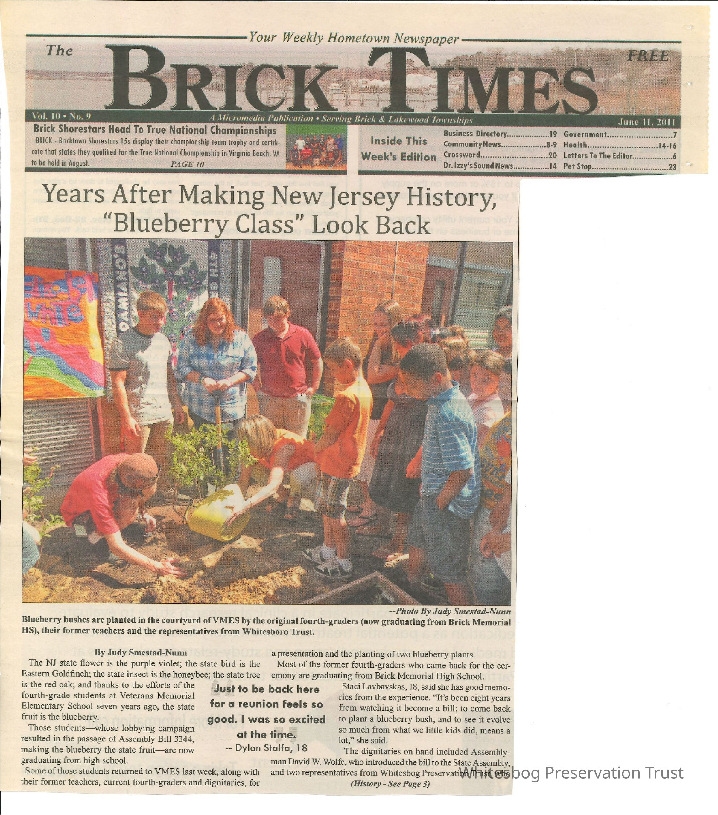 The Brick Times picture number 1