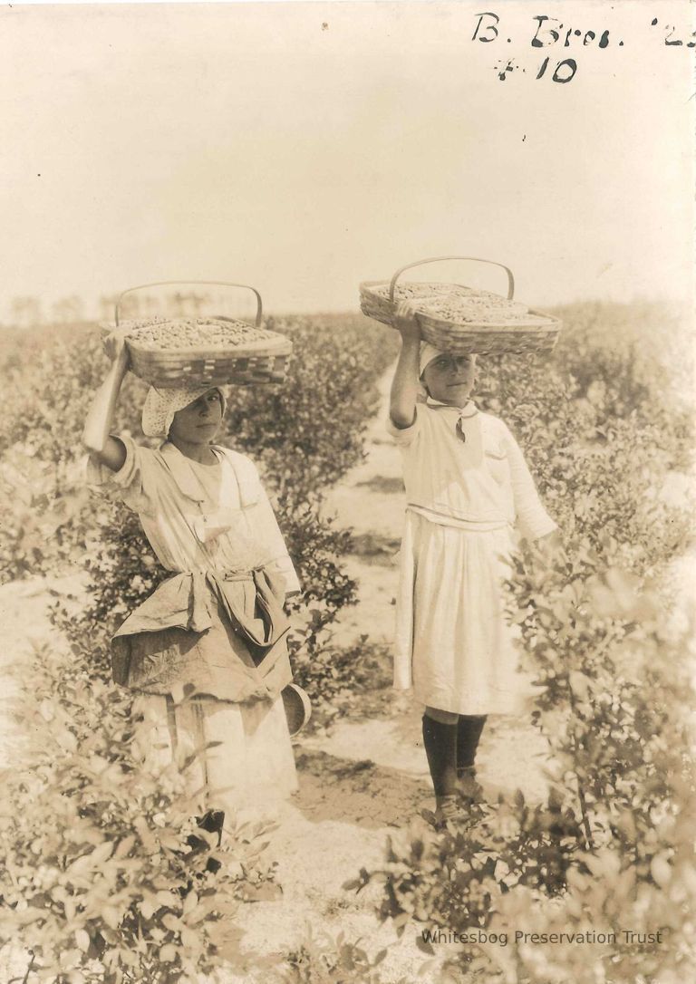          Two Young Girls with Baskets picture number 1
   