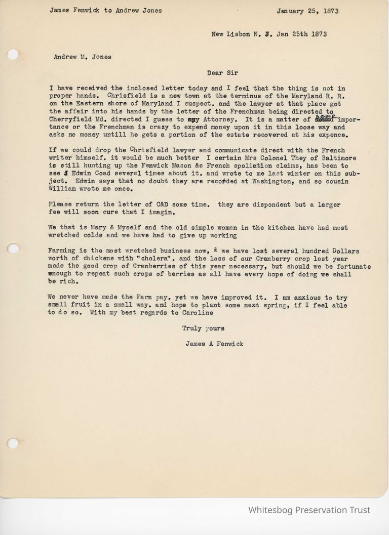          James Fenwick to Andrew Jones - January 25, 1873 picture number 1
   