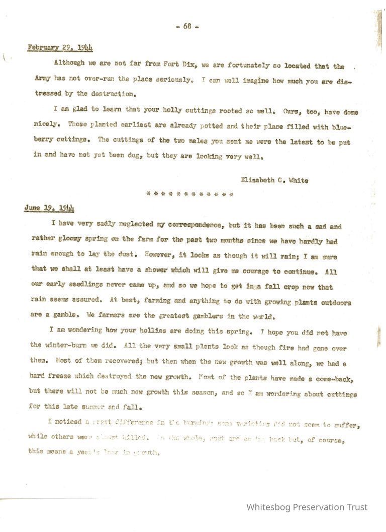          Letters Between White and Wheeler picture number 1
   