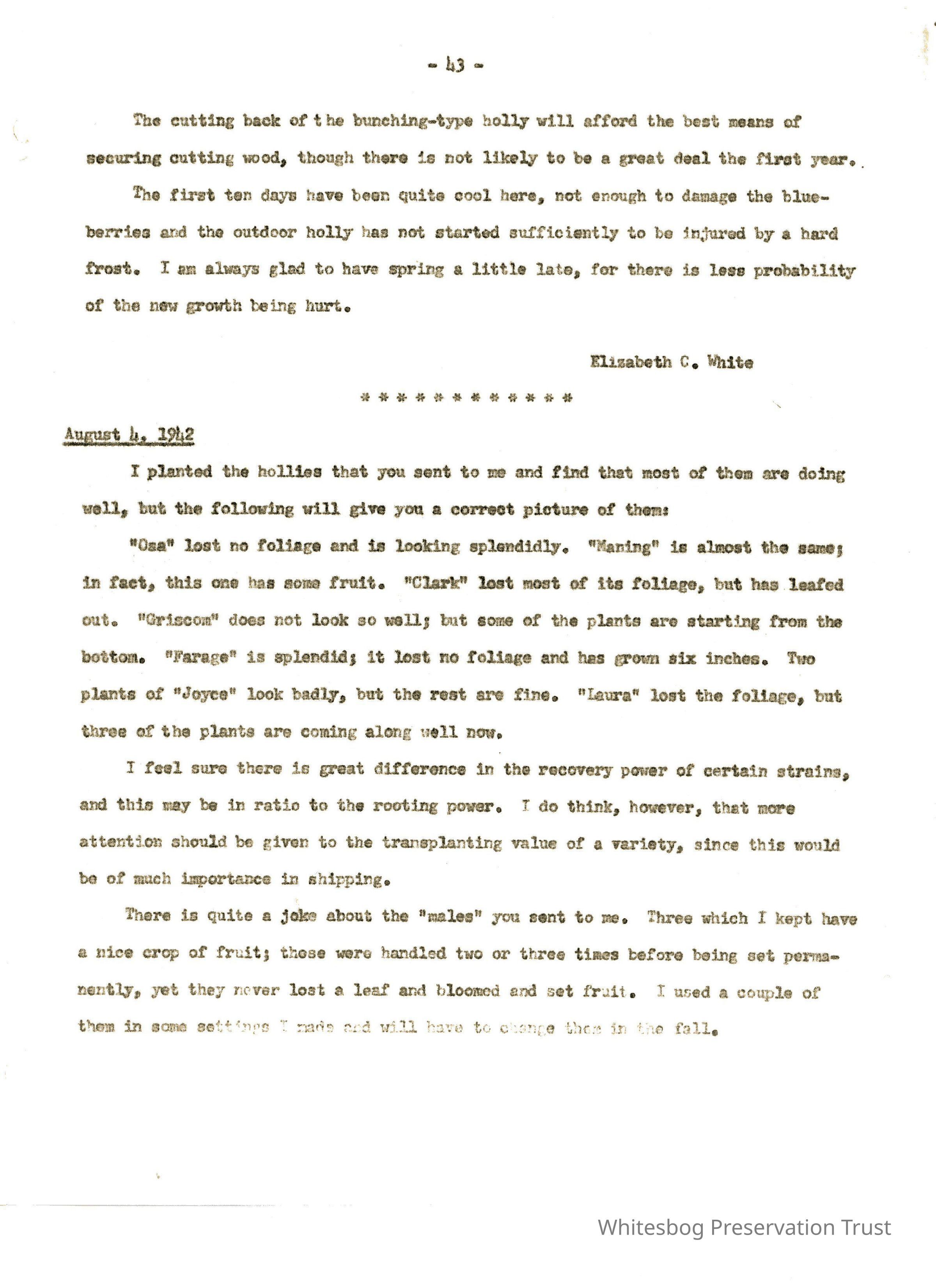 Letters Between Elizabeth White and Wilfrid Wheeler picture number 1