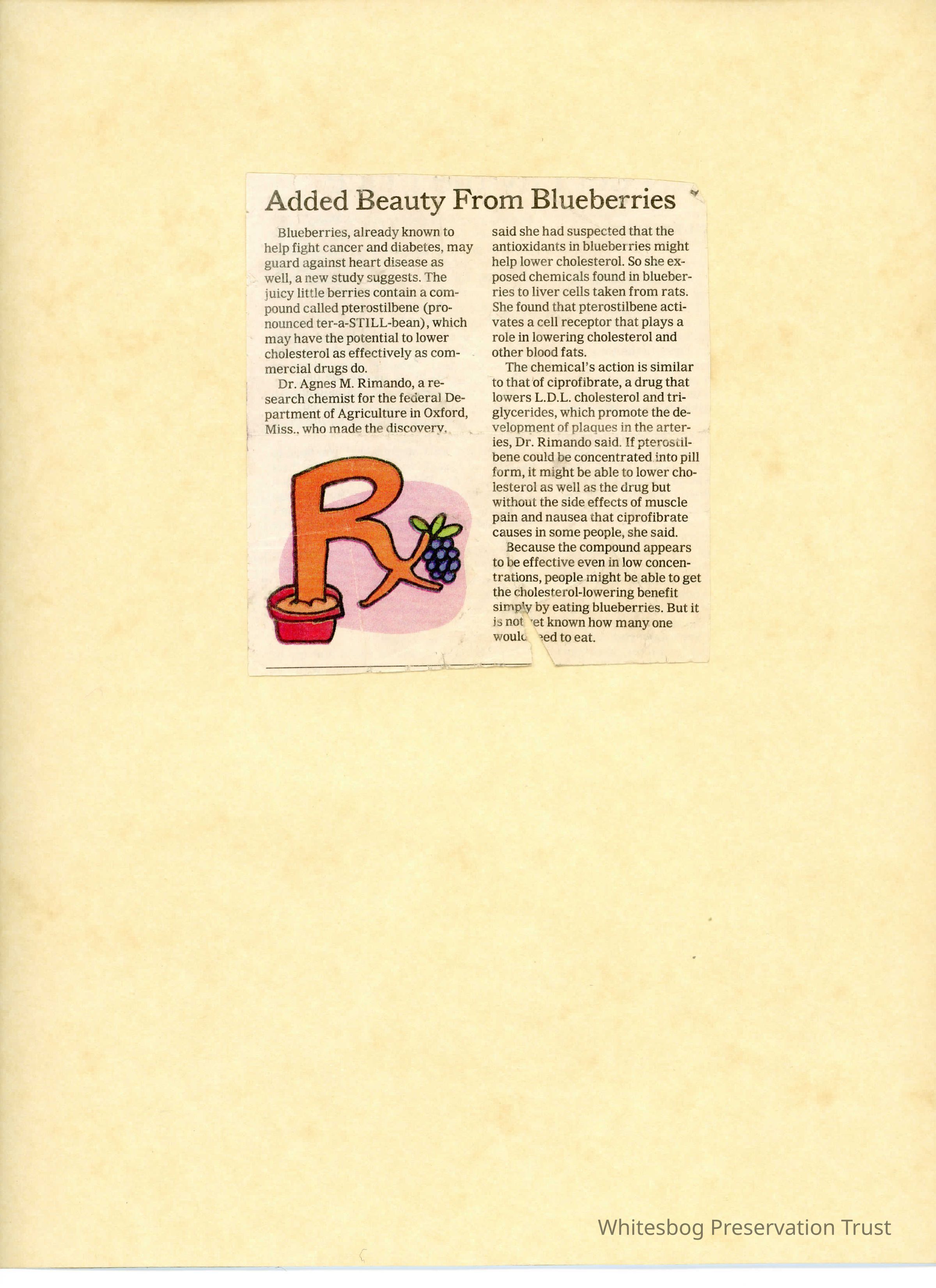          Newspaper Name Unknown picture number 1
   