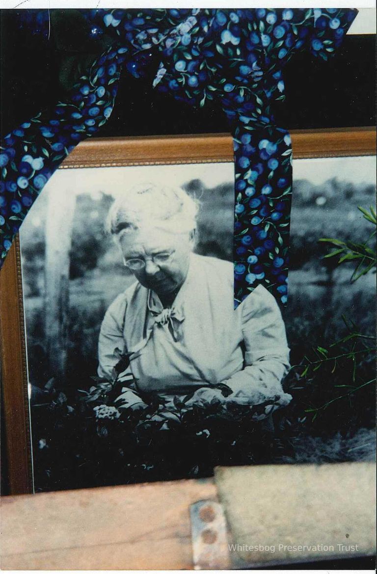          Framed Photo of Elizabeth White
   