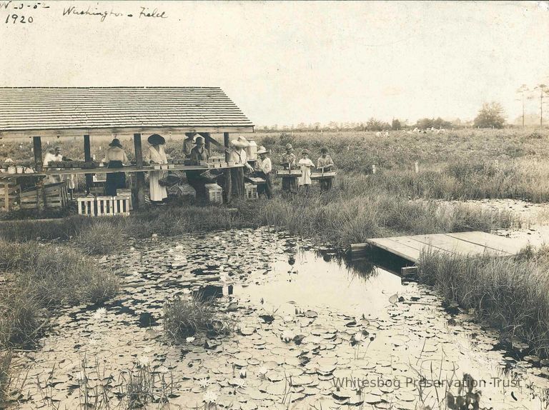          Washington Field Packing Shed
   