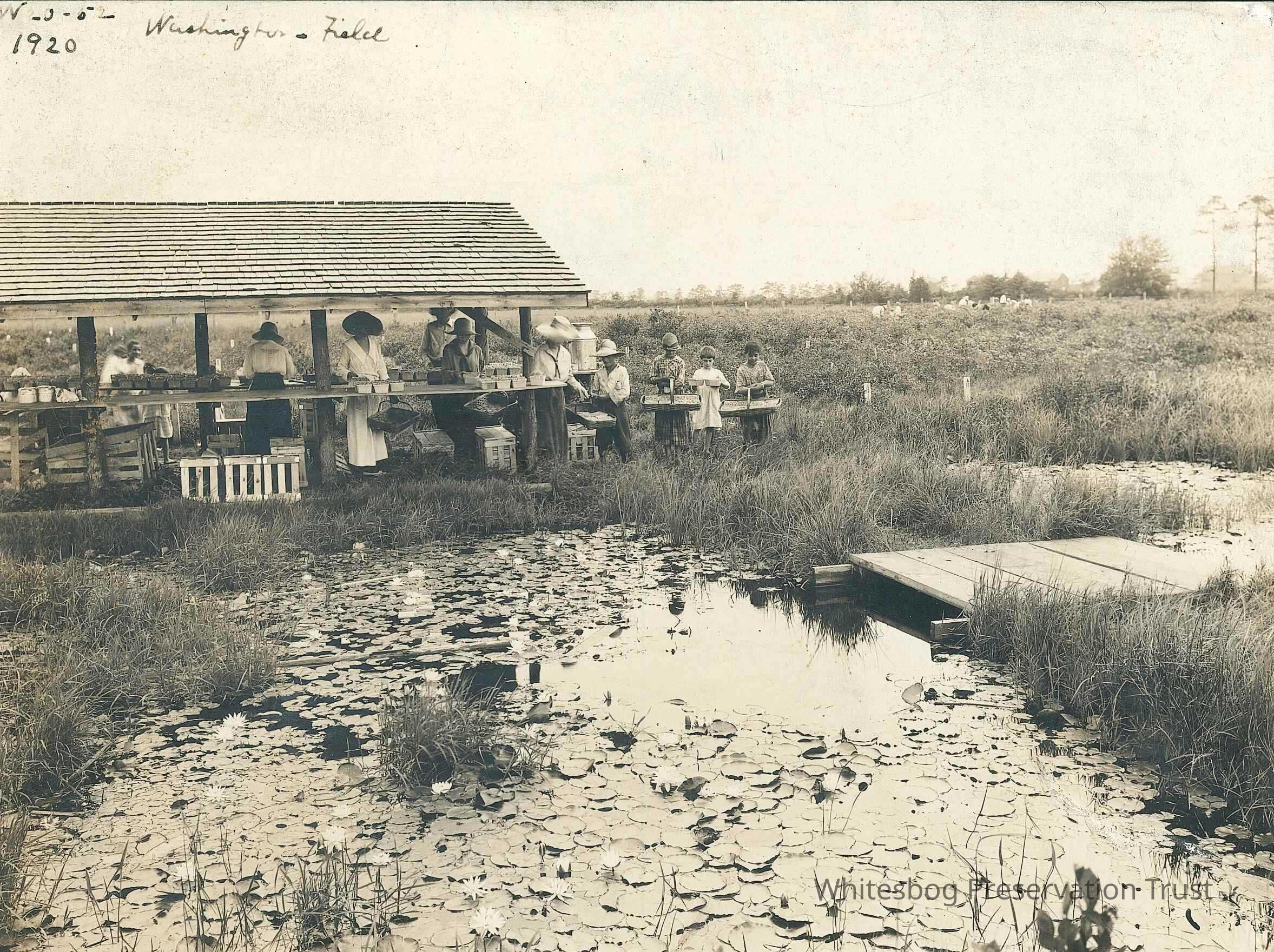 Washington Field Packing Shed