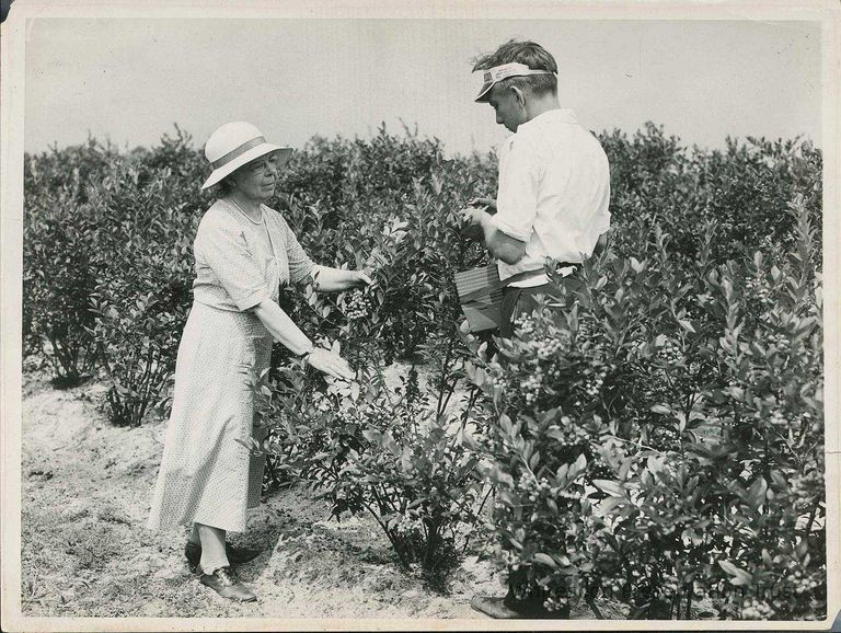          Elizabeth White and Elmer Haines
   