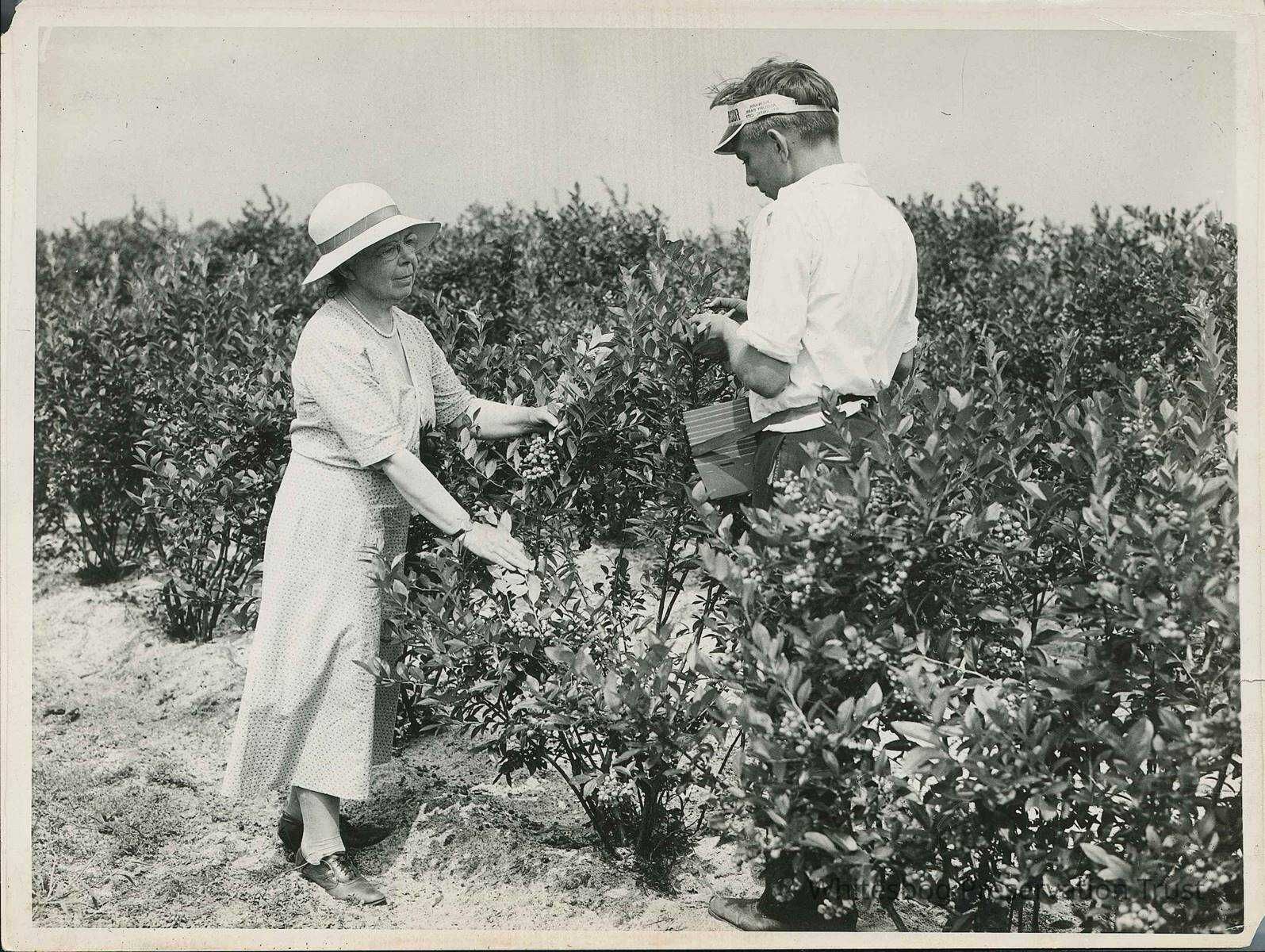 Elizabeth White and Elmer Haines