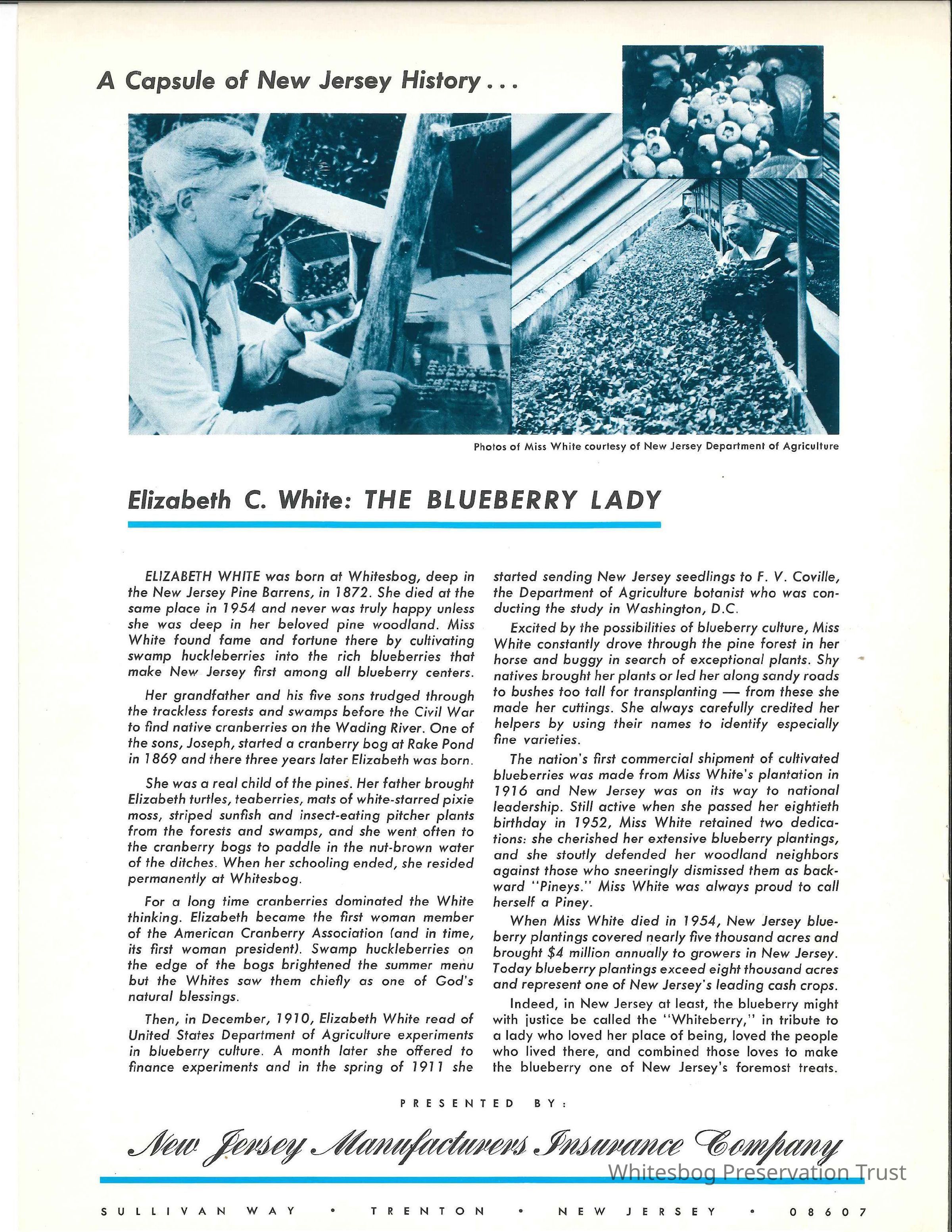 Elizabeth C White: The Blueberry Lady picture number 1