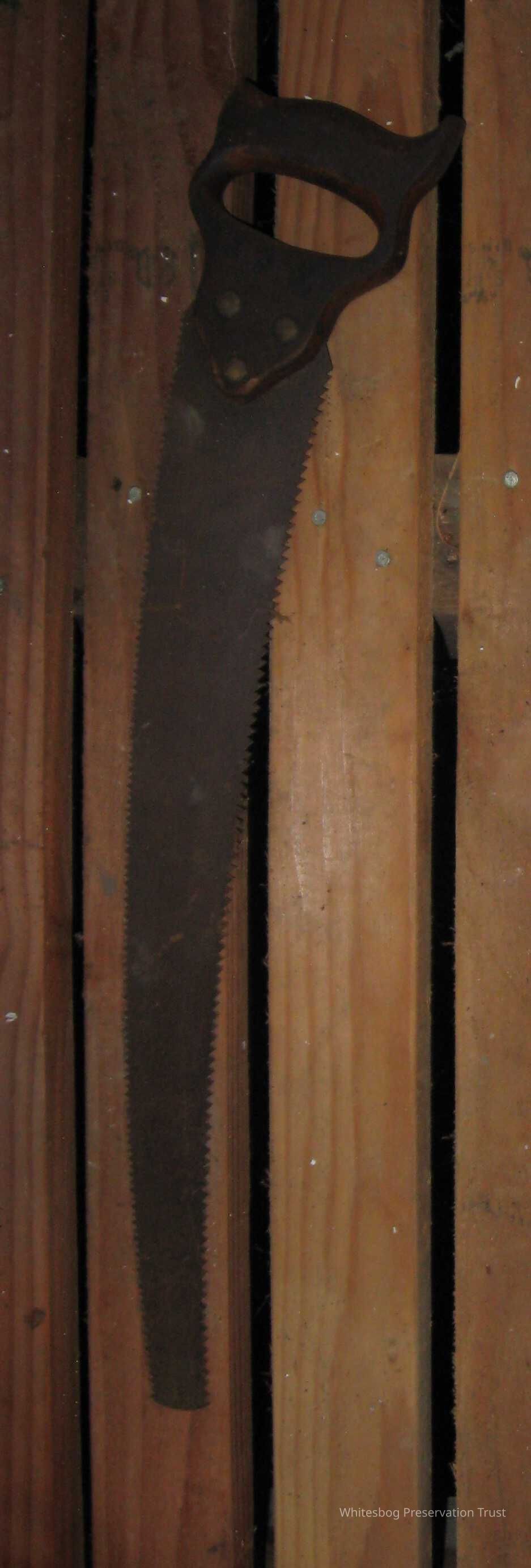 Pruning Saw