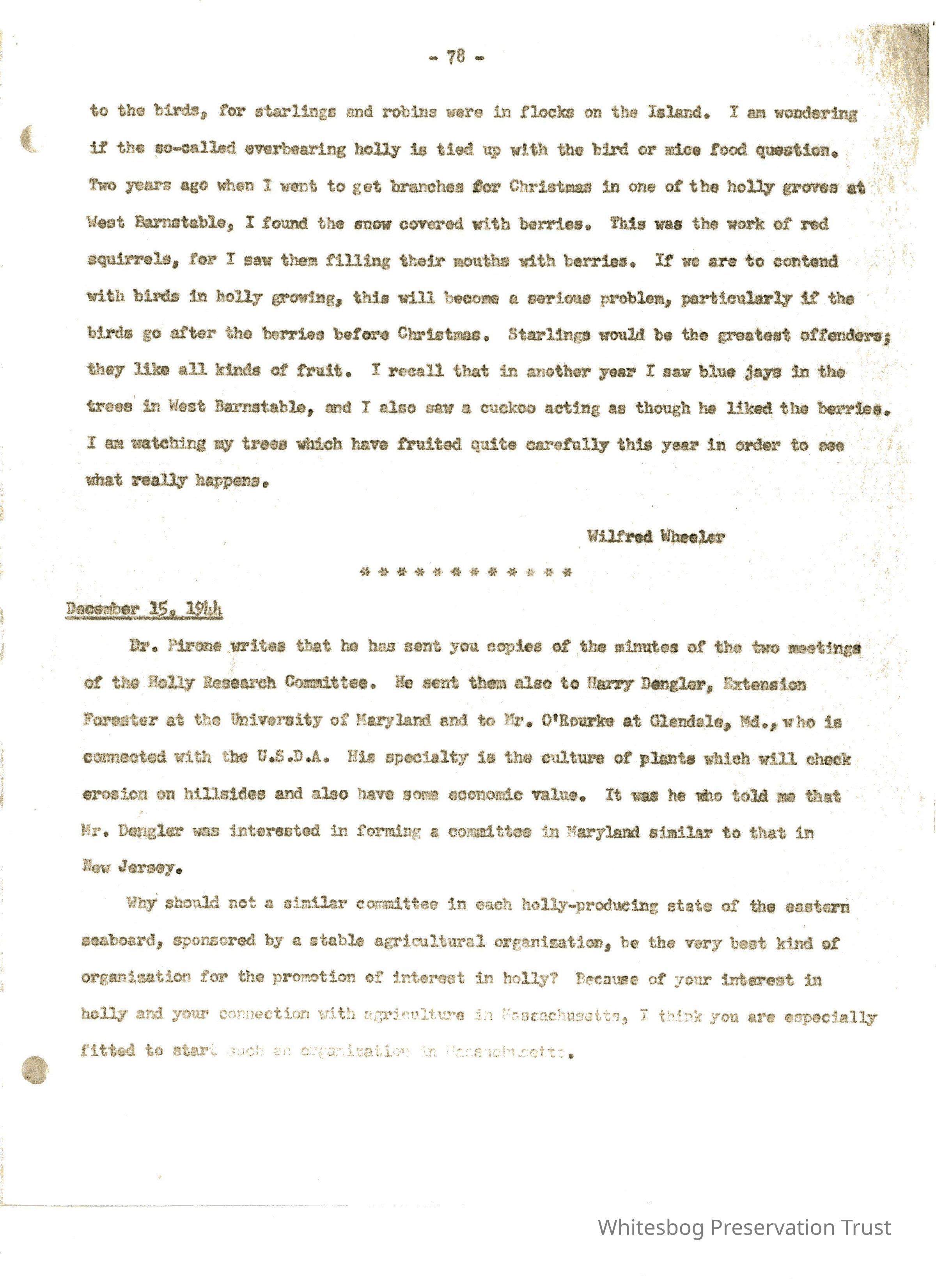 Letters Between Elizabeth White and Wilfrid Wheeler picture number 1