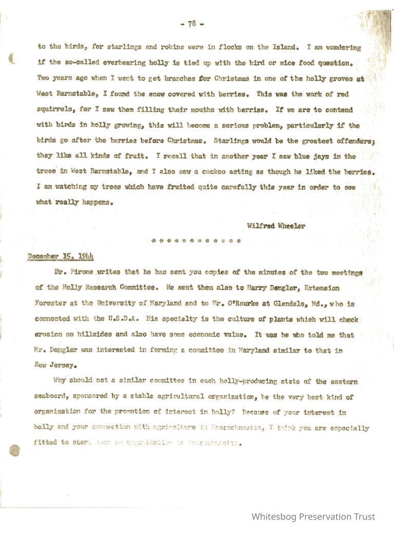          Letters Between Elizabeth White and Wilfrid Wheeler picture number 1
   