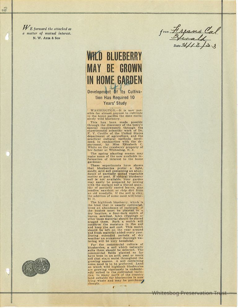          Newspaper Clipping picture number 1
   