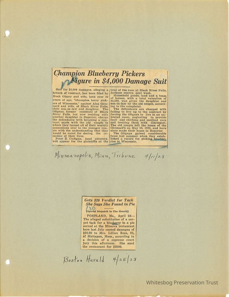          Newspaper Clippings picture number 1
   