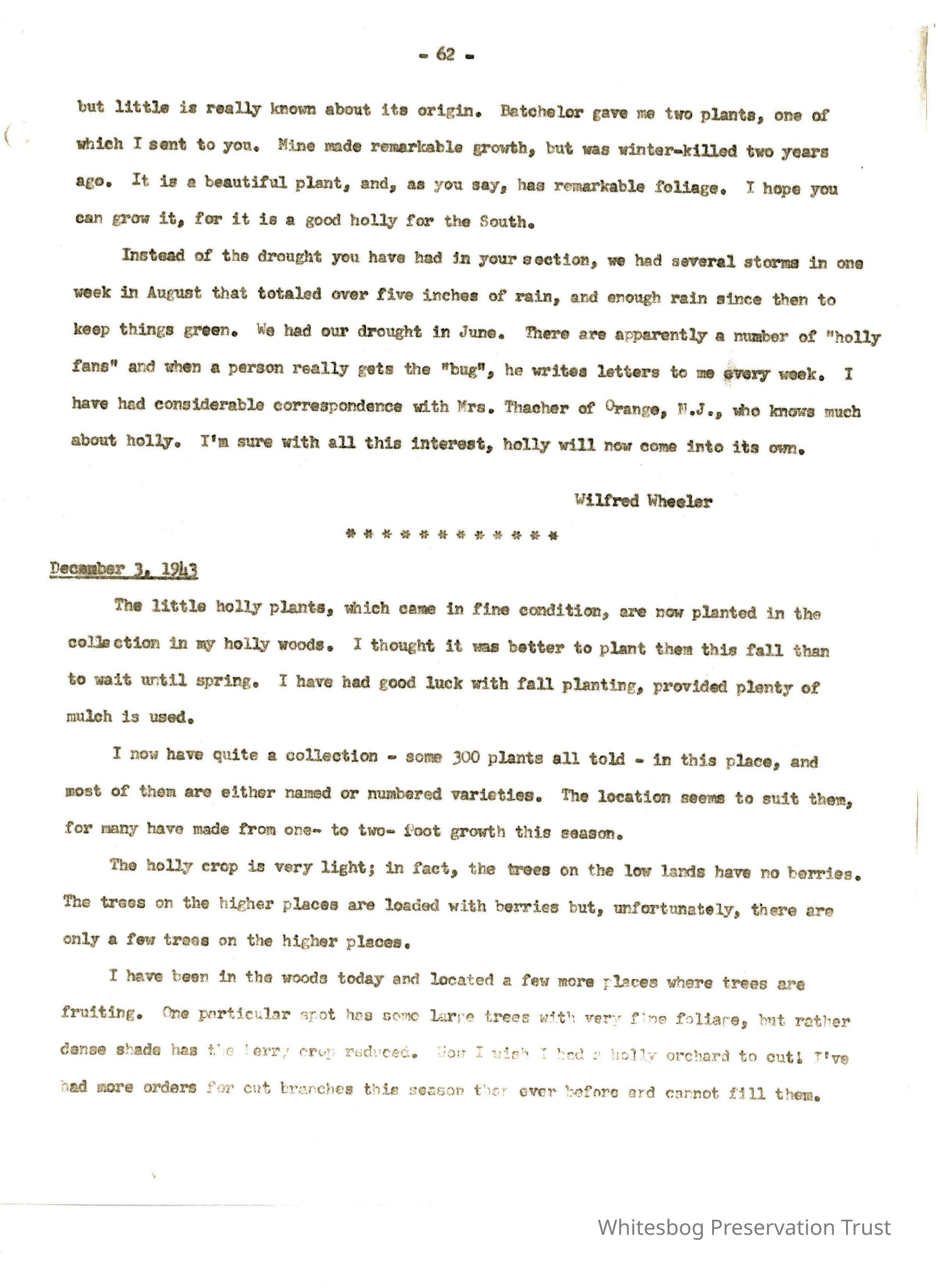 Letters Between Elizabeth White and Wilfrid Wheeler picture number 1