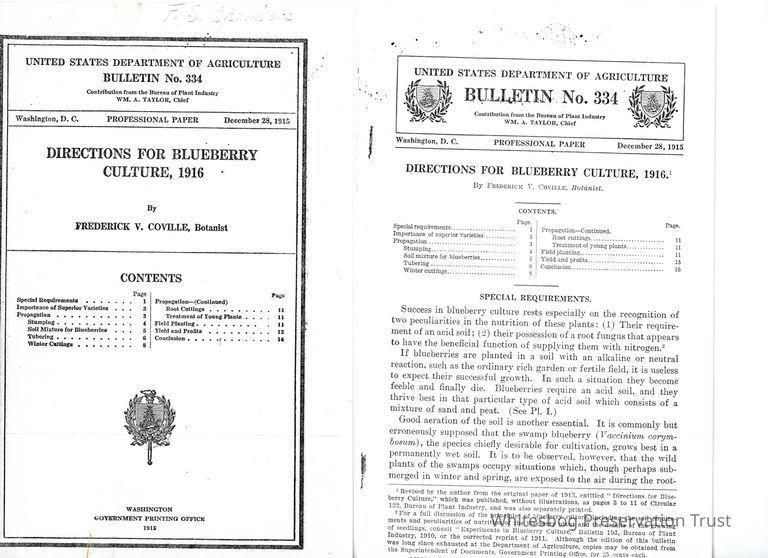          Directions For Blueberry Culture, 1916 picture number 1
   
