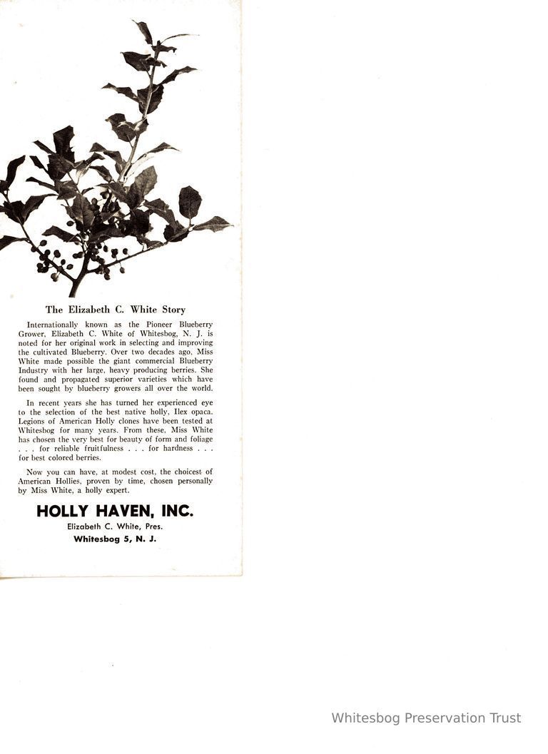          Holly Haven, Inc. Catalog picture number 1
   