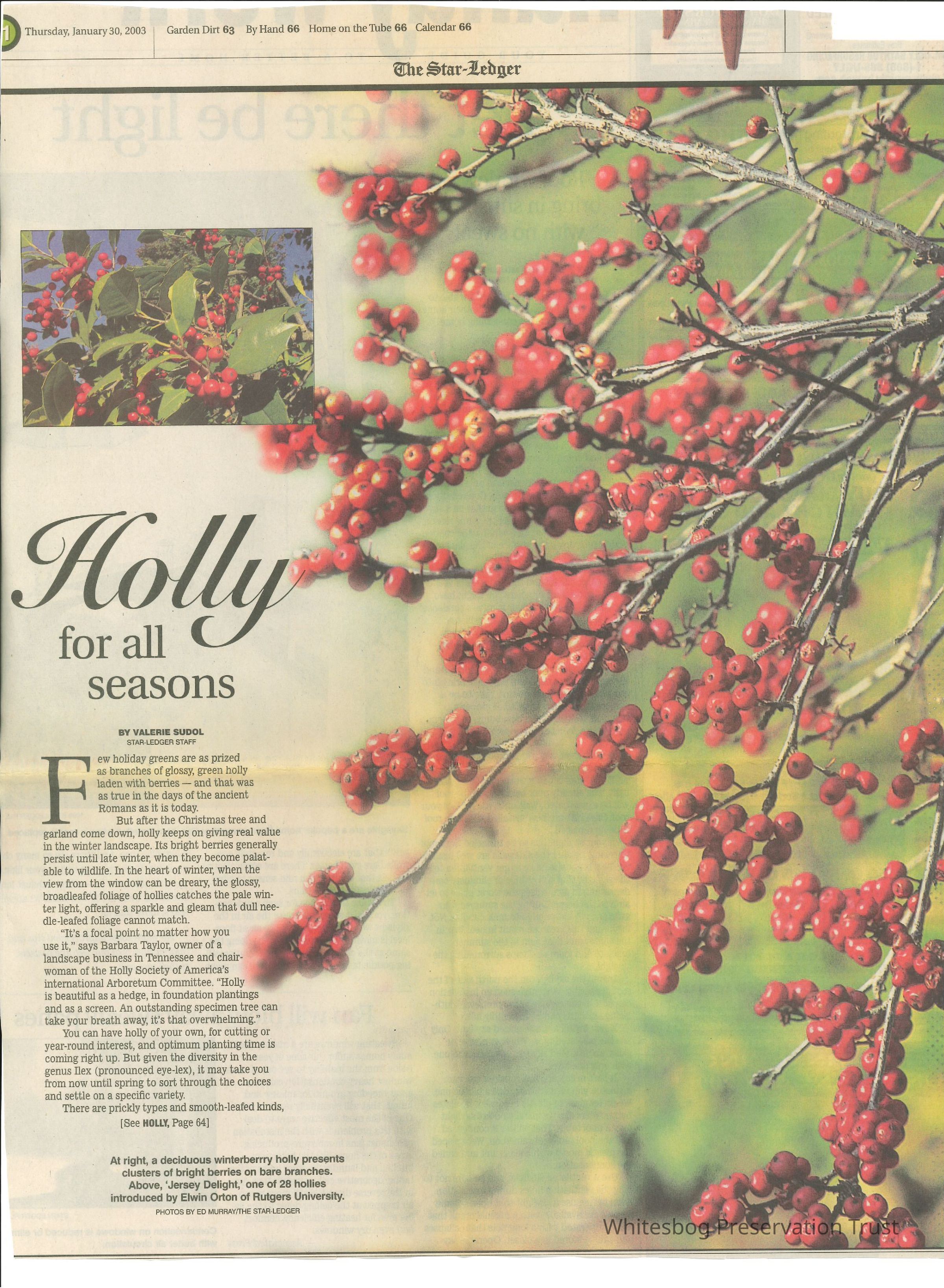 The Star-Ledger picture number 1
