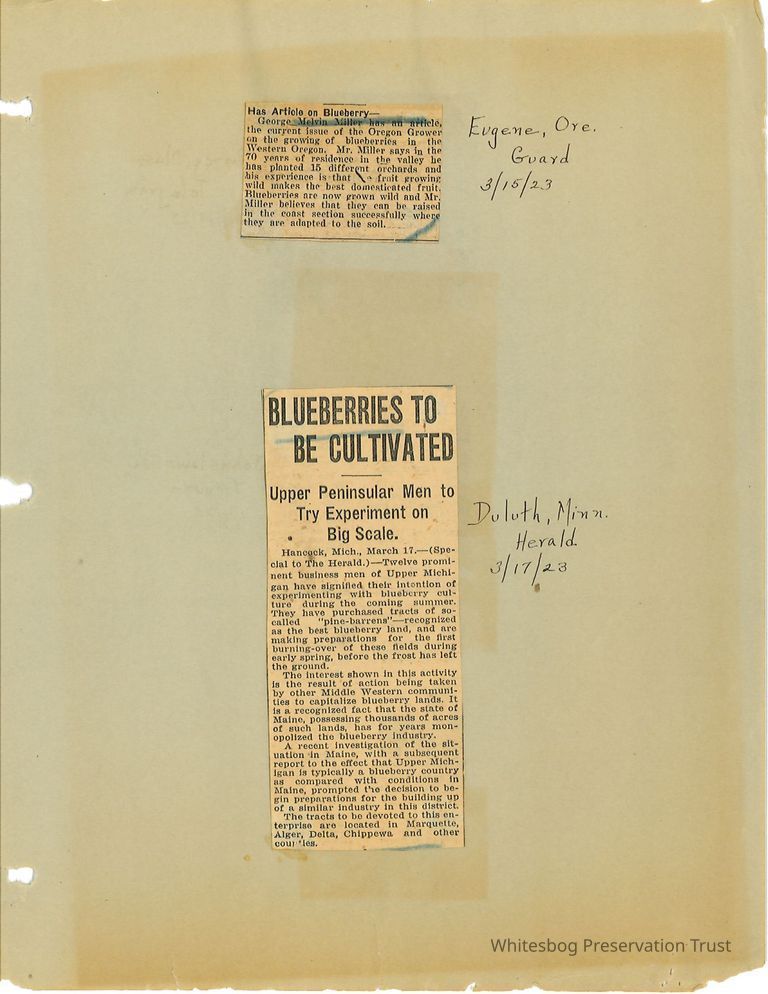          Newspaper Clippings picture number 1
   