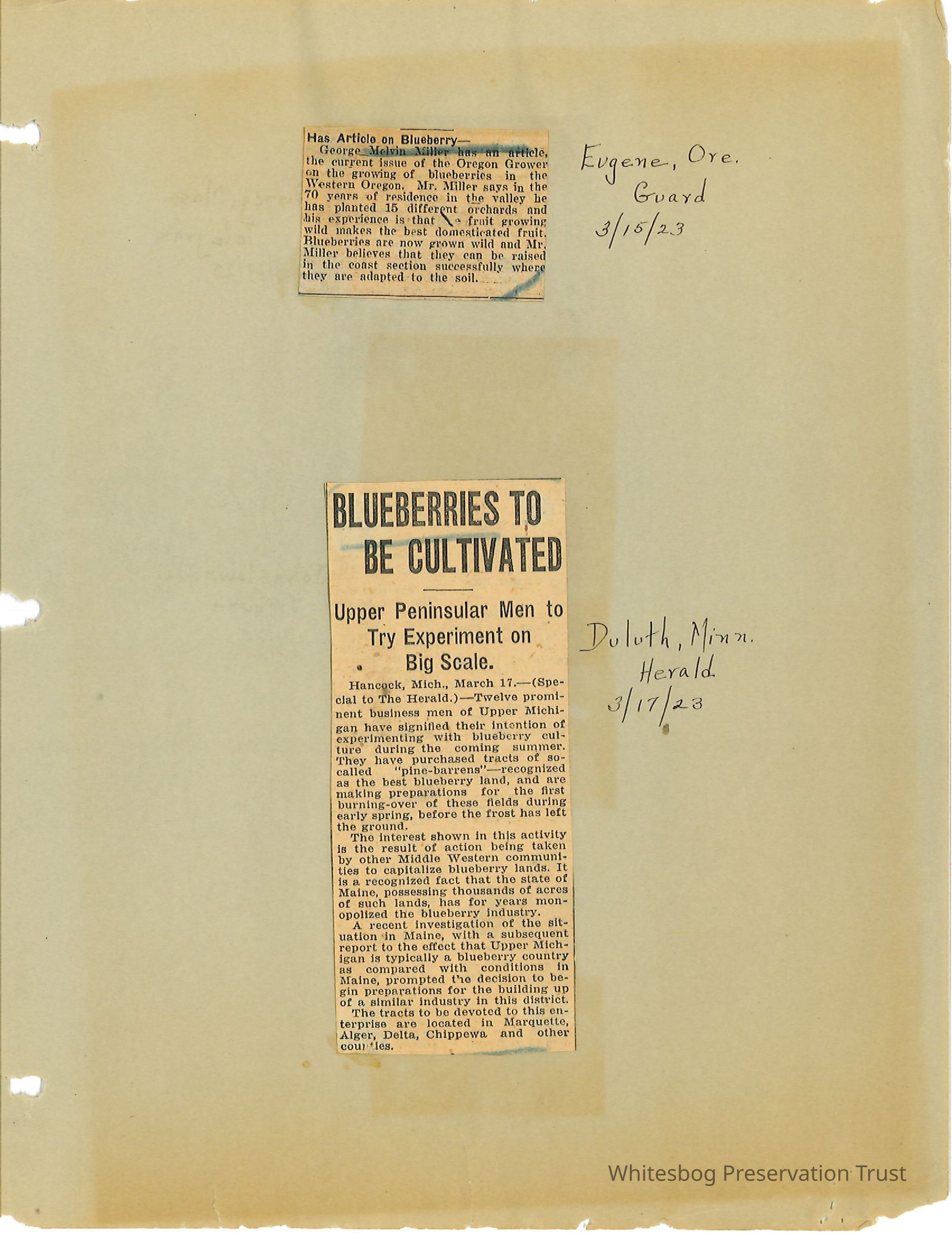          Newspaper Clippings picture number 1
   
