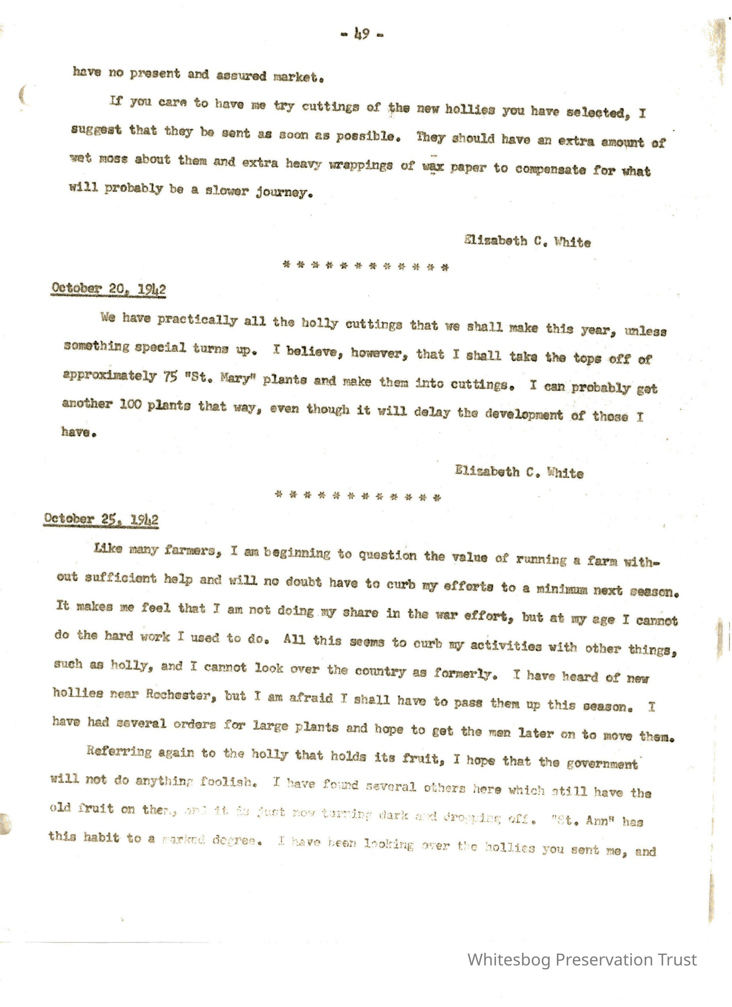 Letters Between Elizabeth White and Wilfrid Wheeler picture number 1