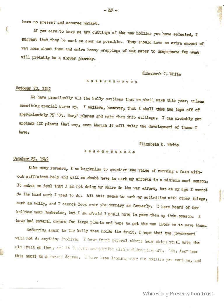          Letters Between Elizabeth White and Wilfrid Wheeler picture number 1
   