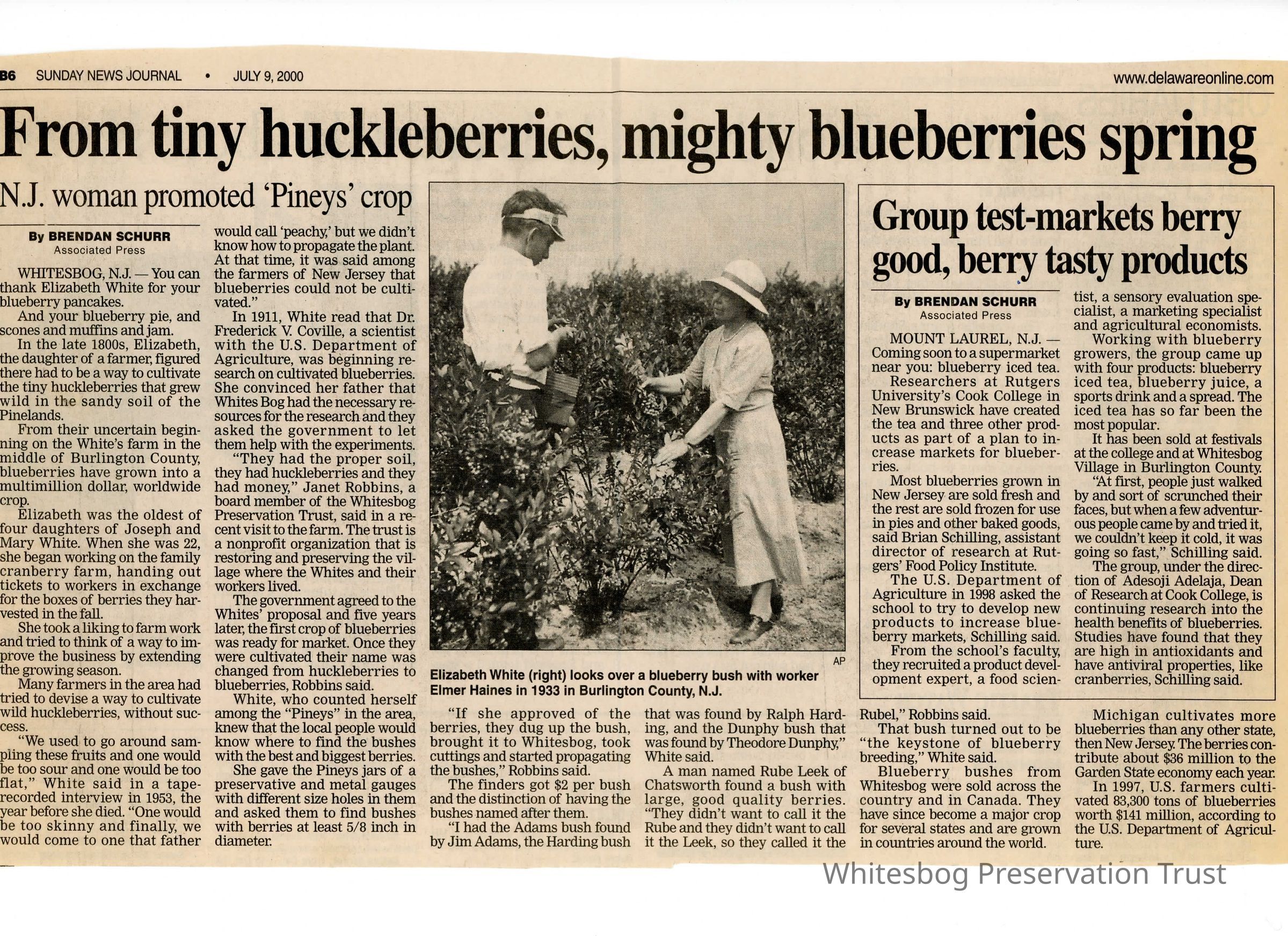 Sunday News Journal - Associated Press picture number 1