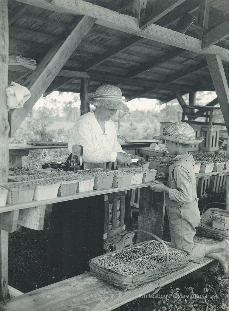          Woman and Boy In Packing Shed
   