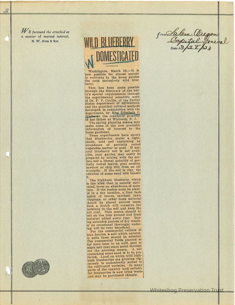          Newspaper Clipping picture number 1
   