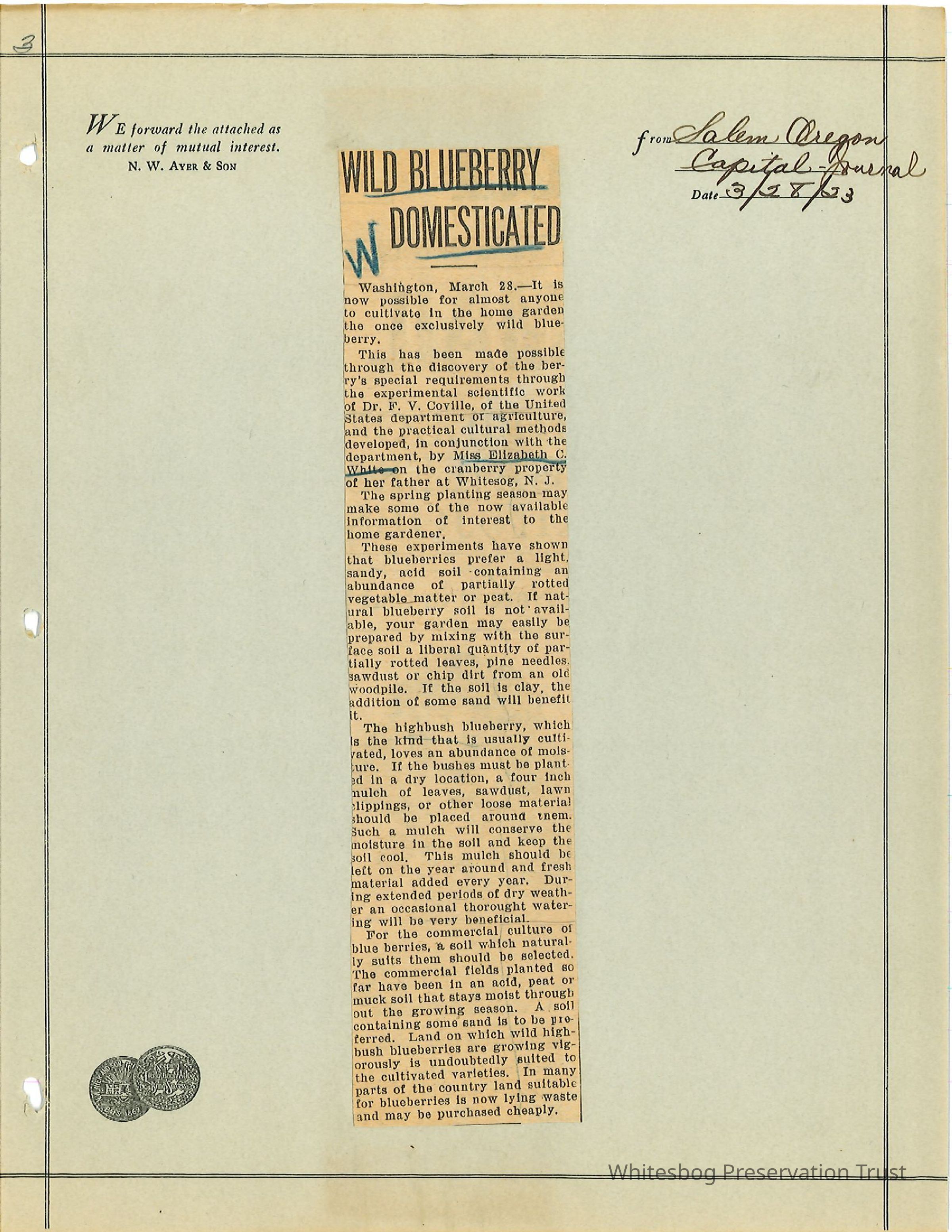          Newspaper Clipping picture number 1
   