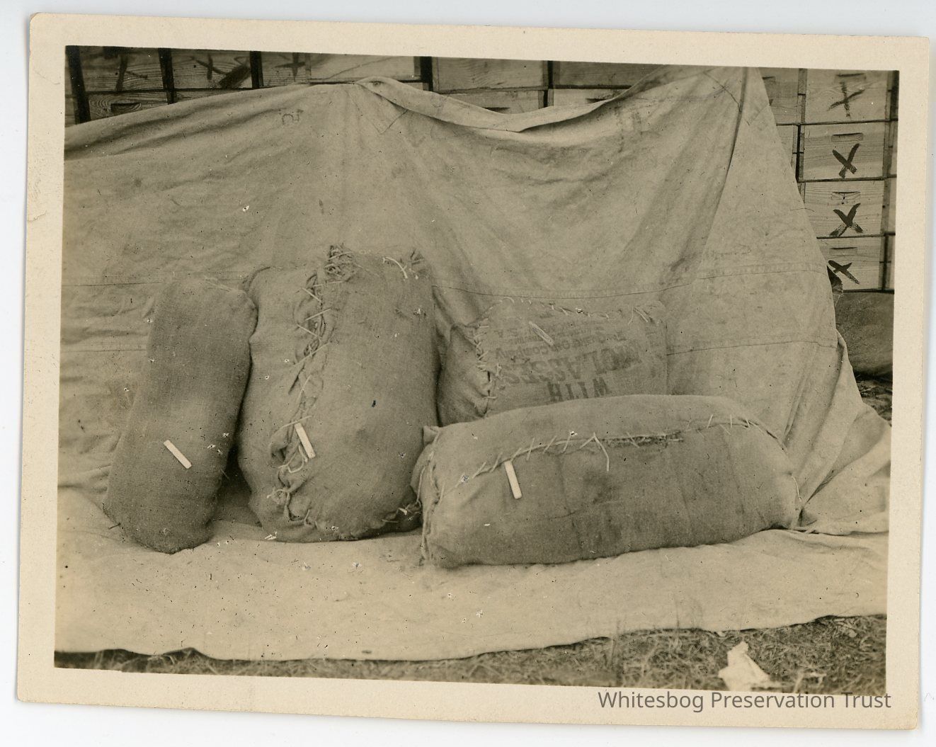          11/1916 Bags in front of crates picture number 1
   