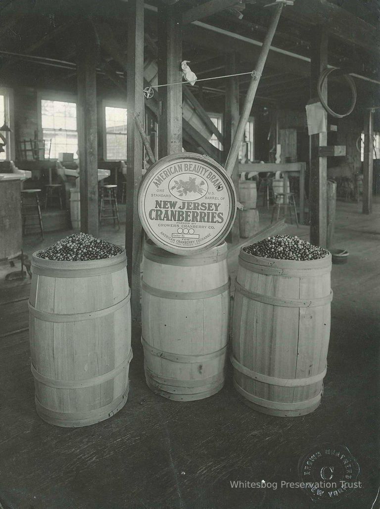          Workers and Cranberry Barrels
   