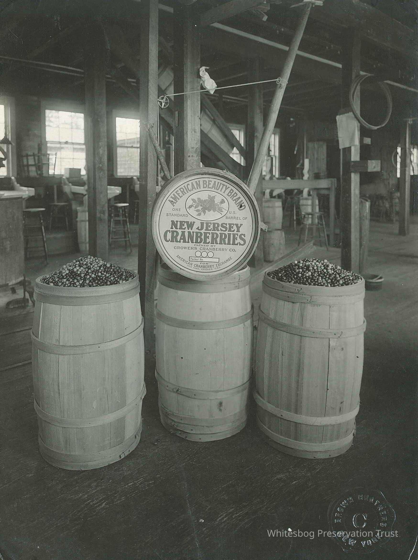          Workers and Cranberry Barrels
   
