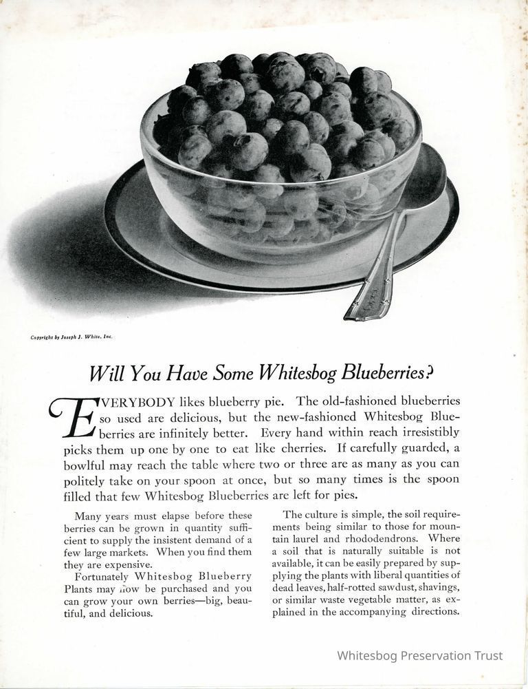          Will You Have Some Whitesbog Blueberries? picture number 1
   