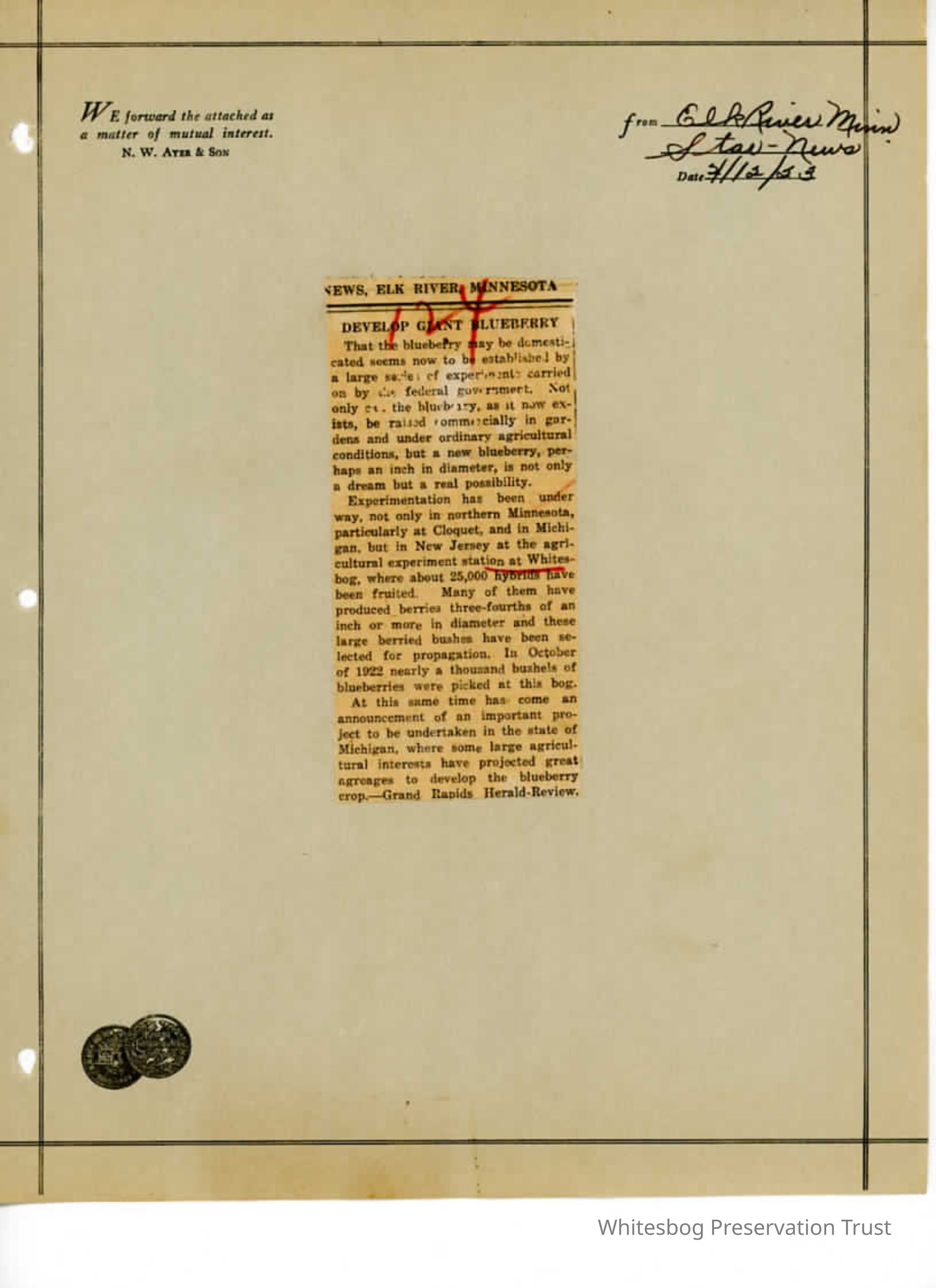          Newspaper Clipping picture number 1
   