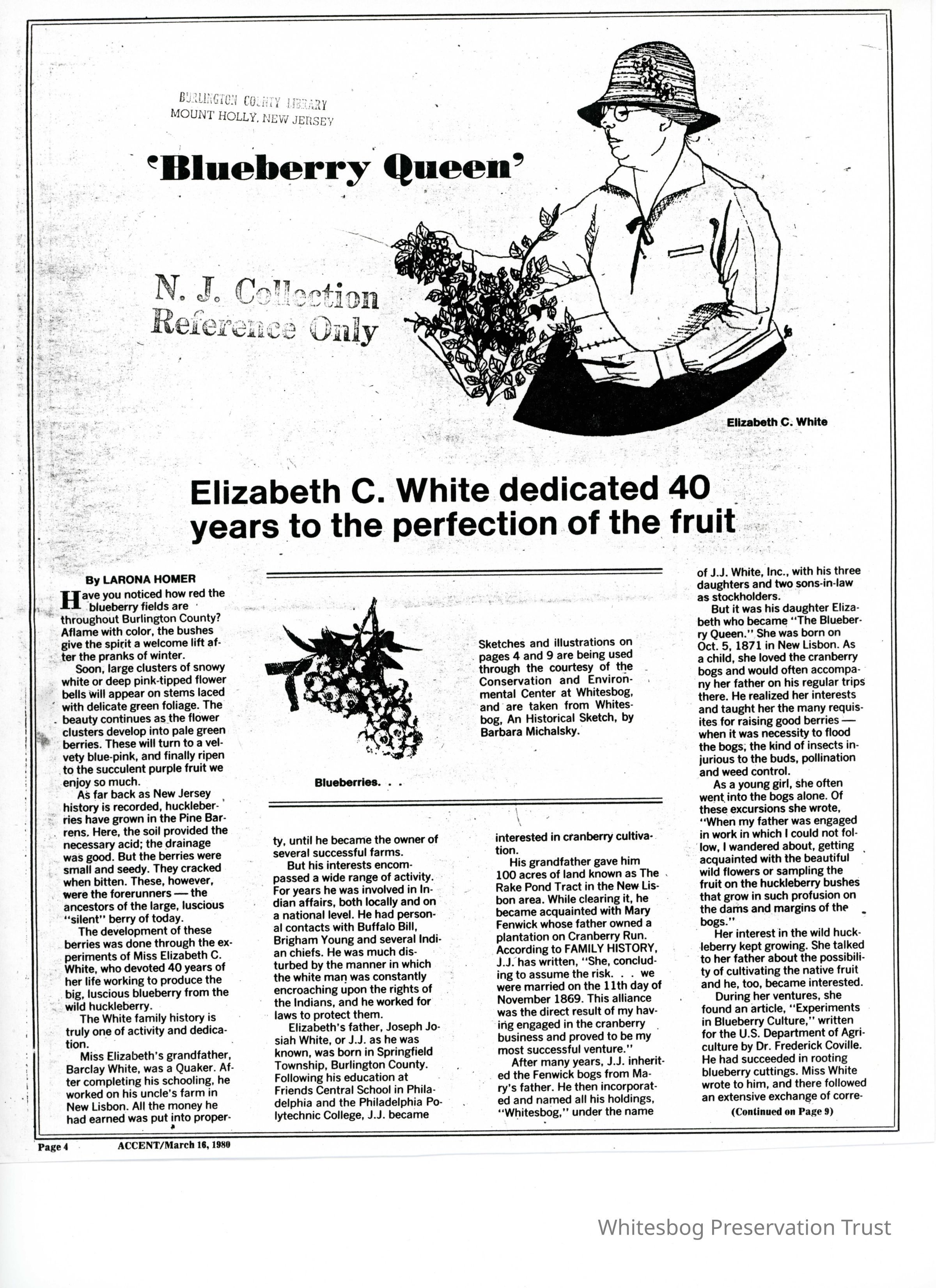          Accent picture number 1
   